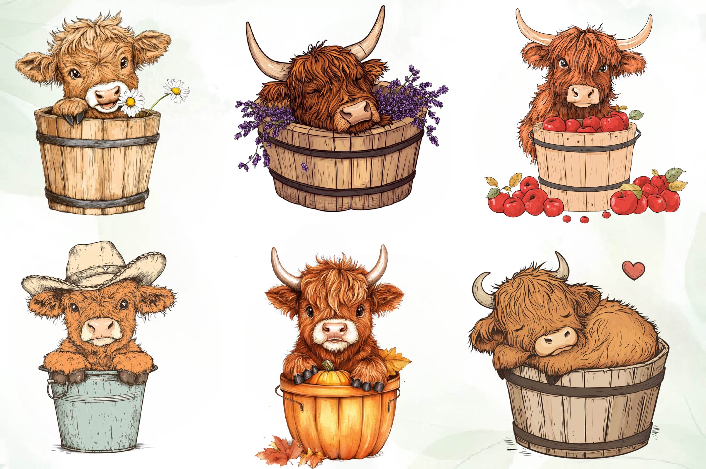 Cute Highland Cow In A Bucket Clipart Bundle