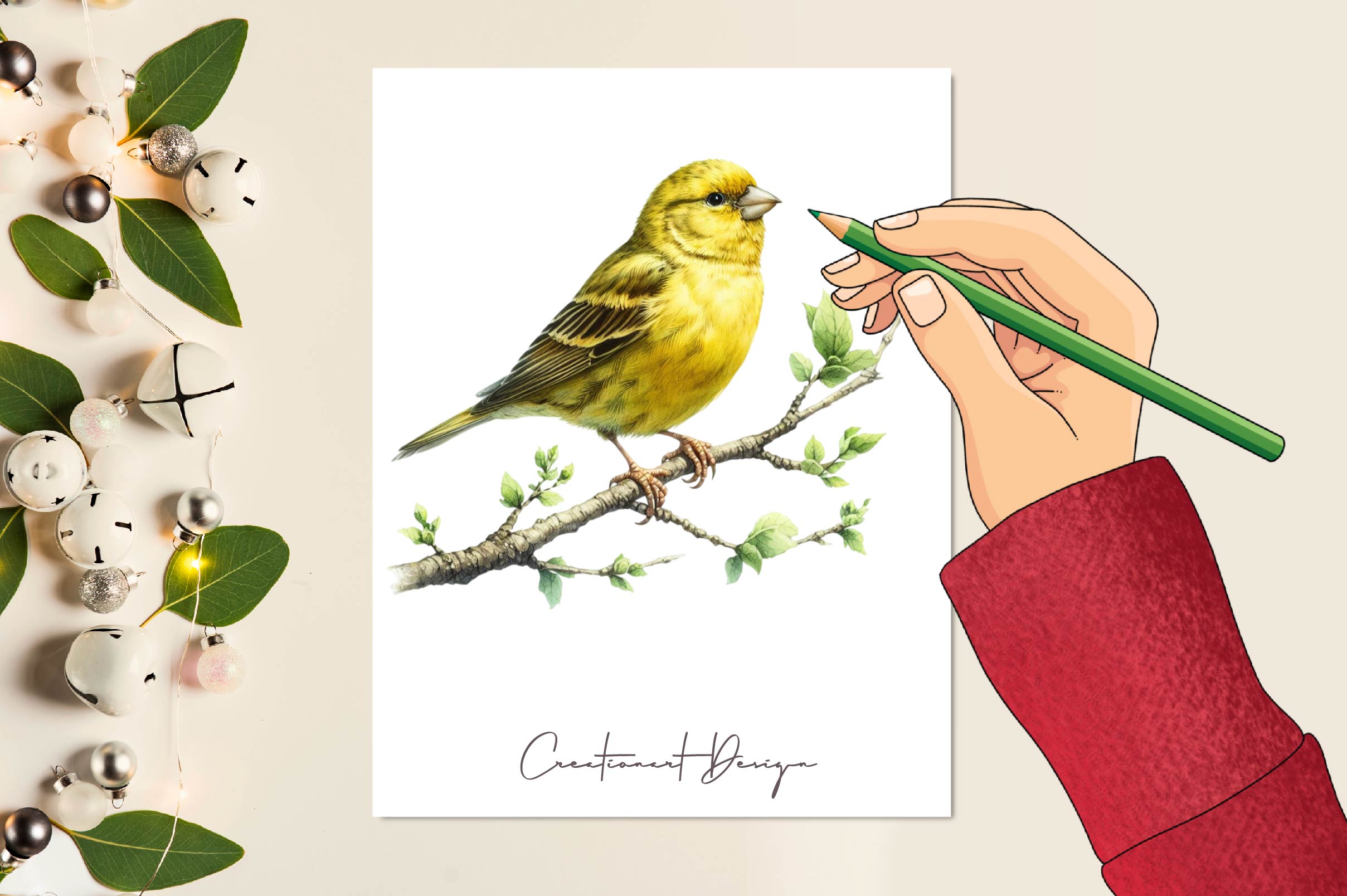 Canary Clipart Bundle