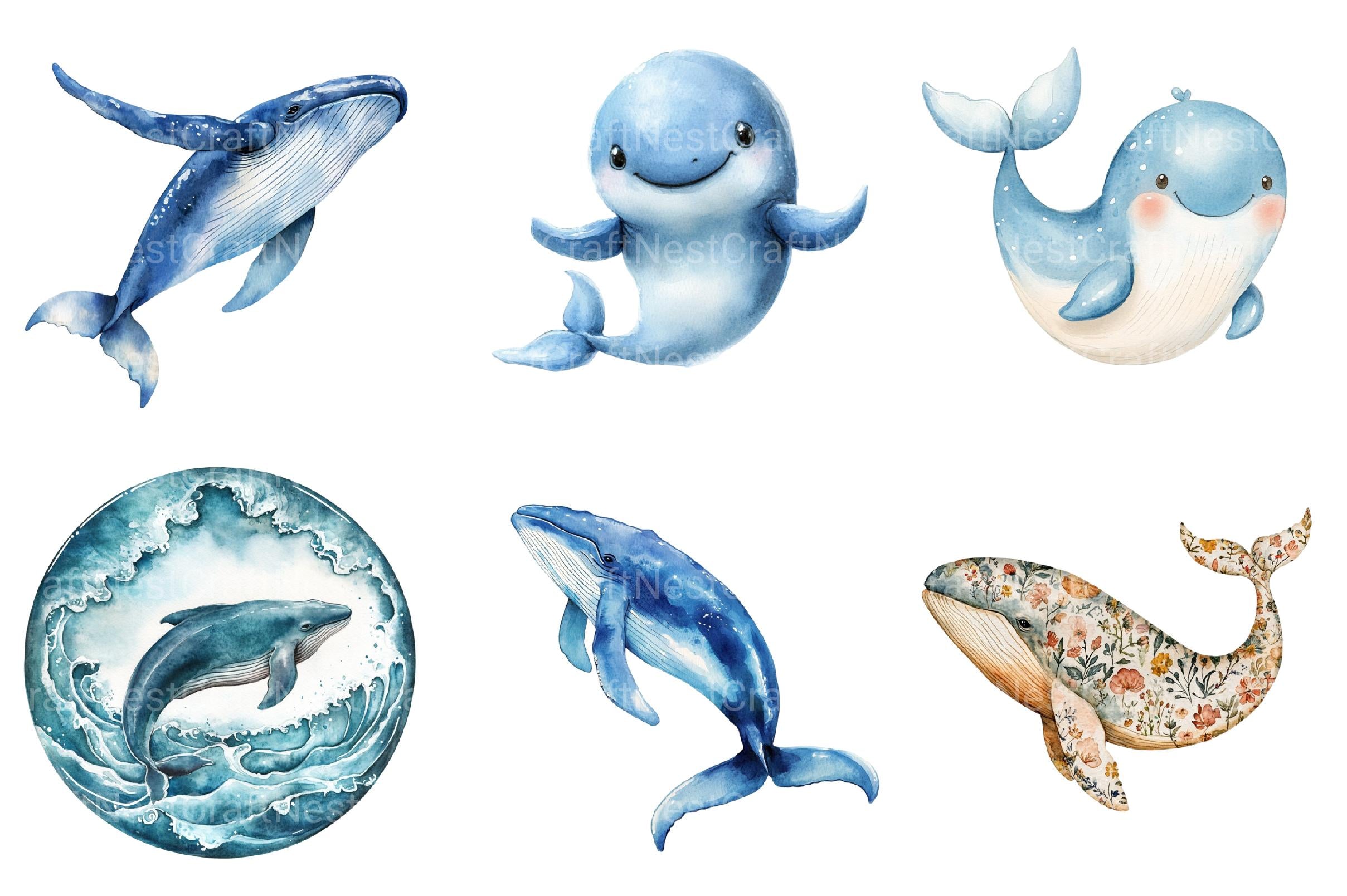 Whale Clipart