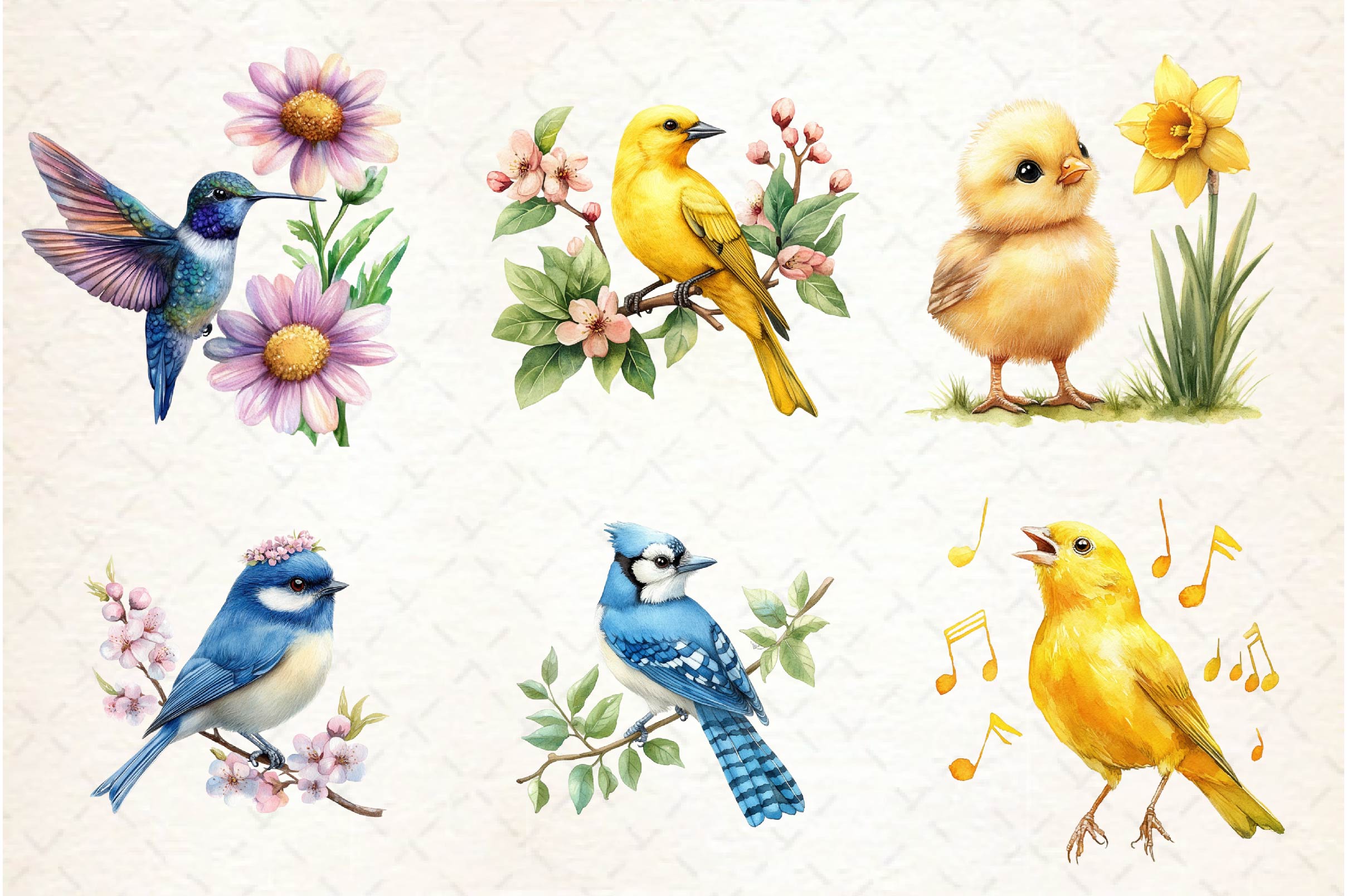 Spring Birds Clipart Bundle 1