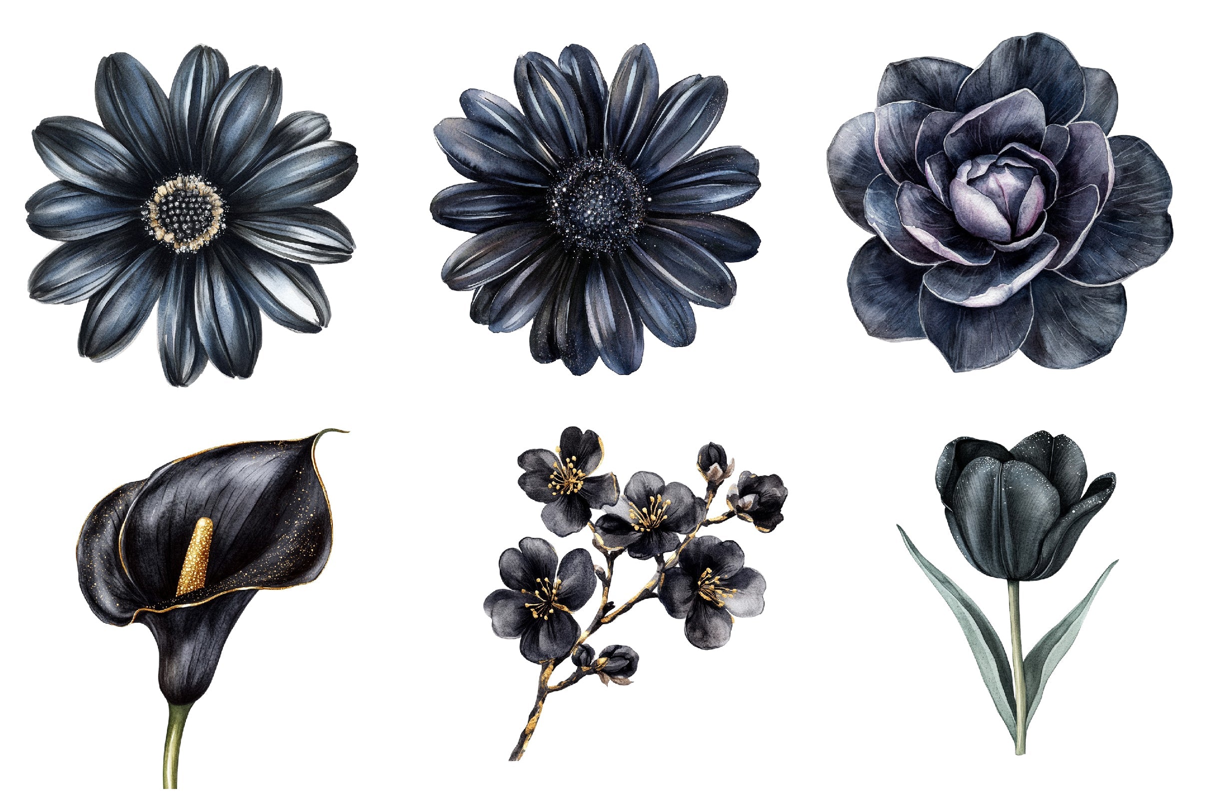 Glitter Luxury Black Spring Flower Clipart Bundle