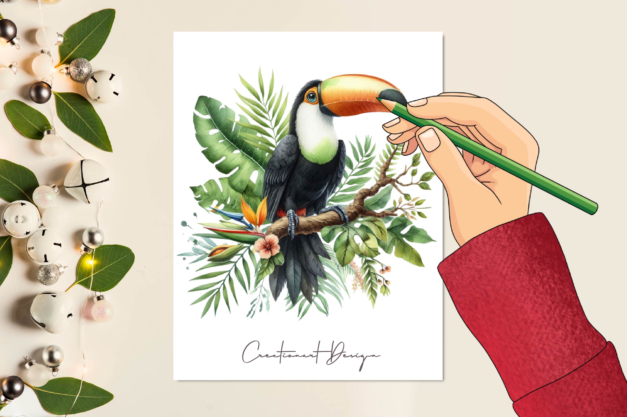 Toucans Clipart Bundle