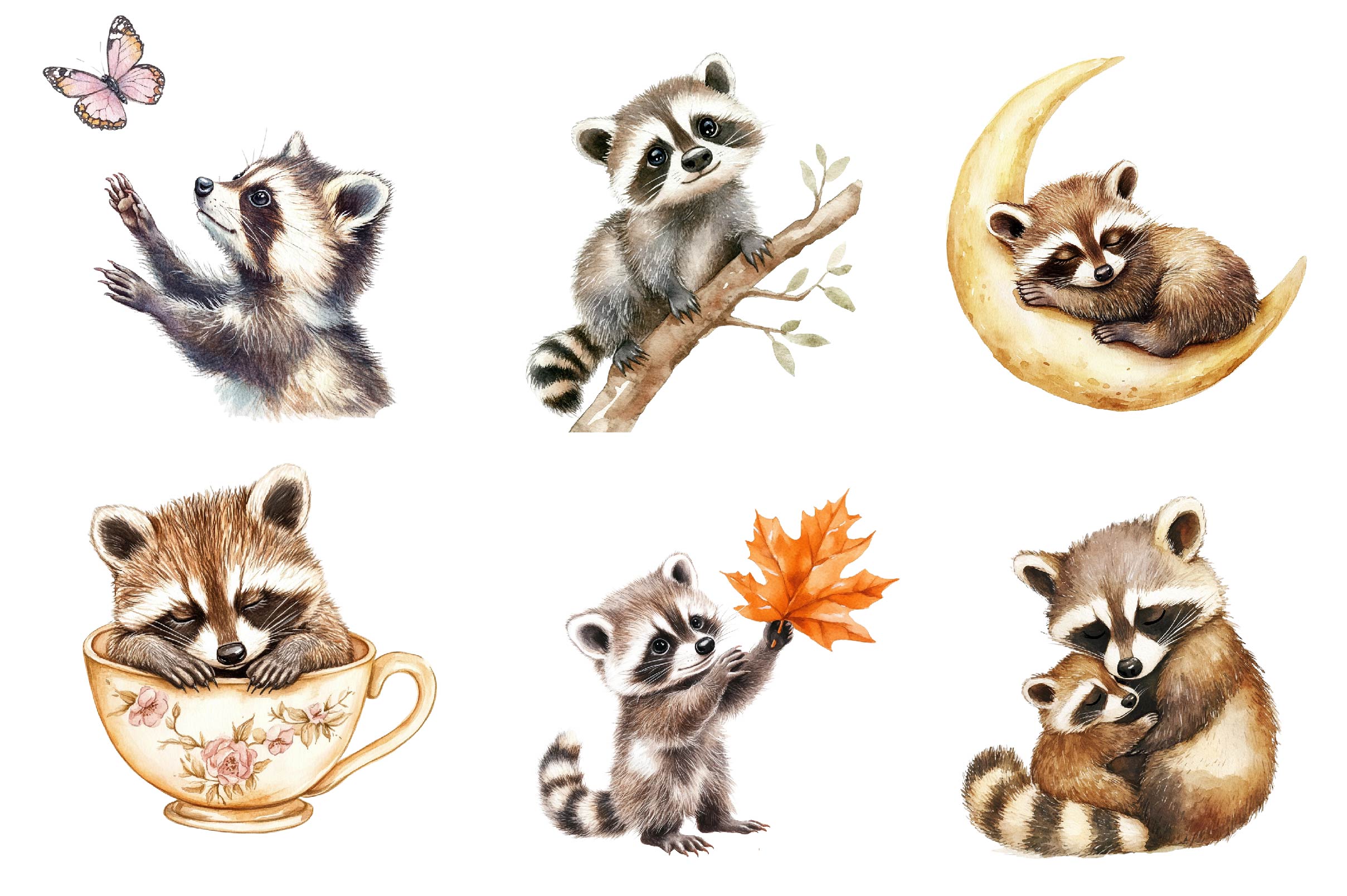 Raccoon & Kit Clipart Bundle