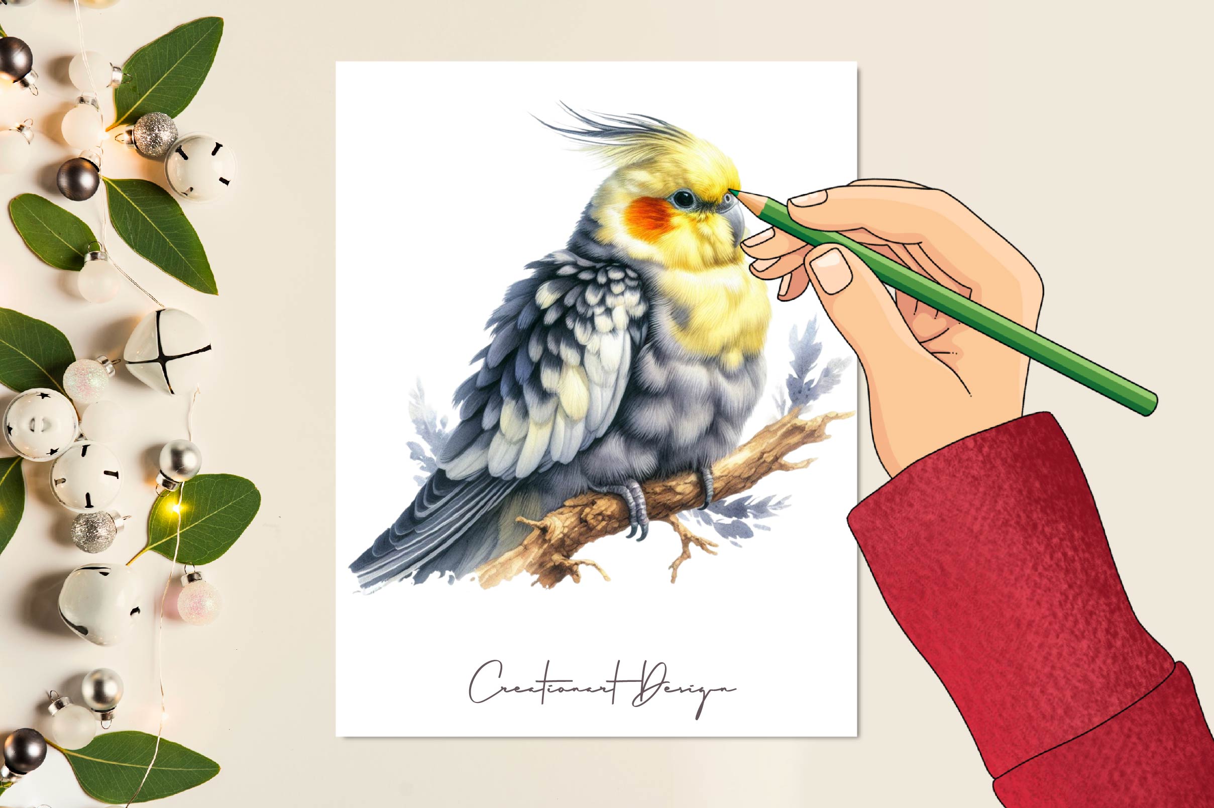 Cockatiel Clipart Bundle
