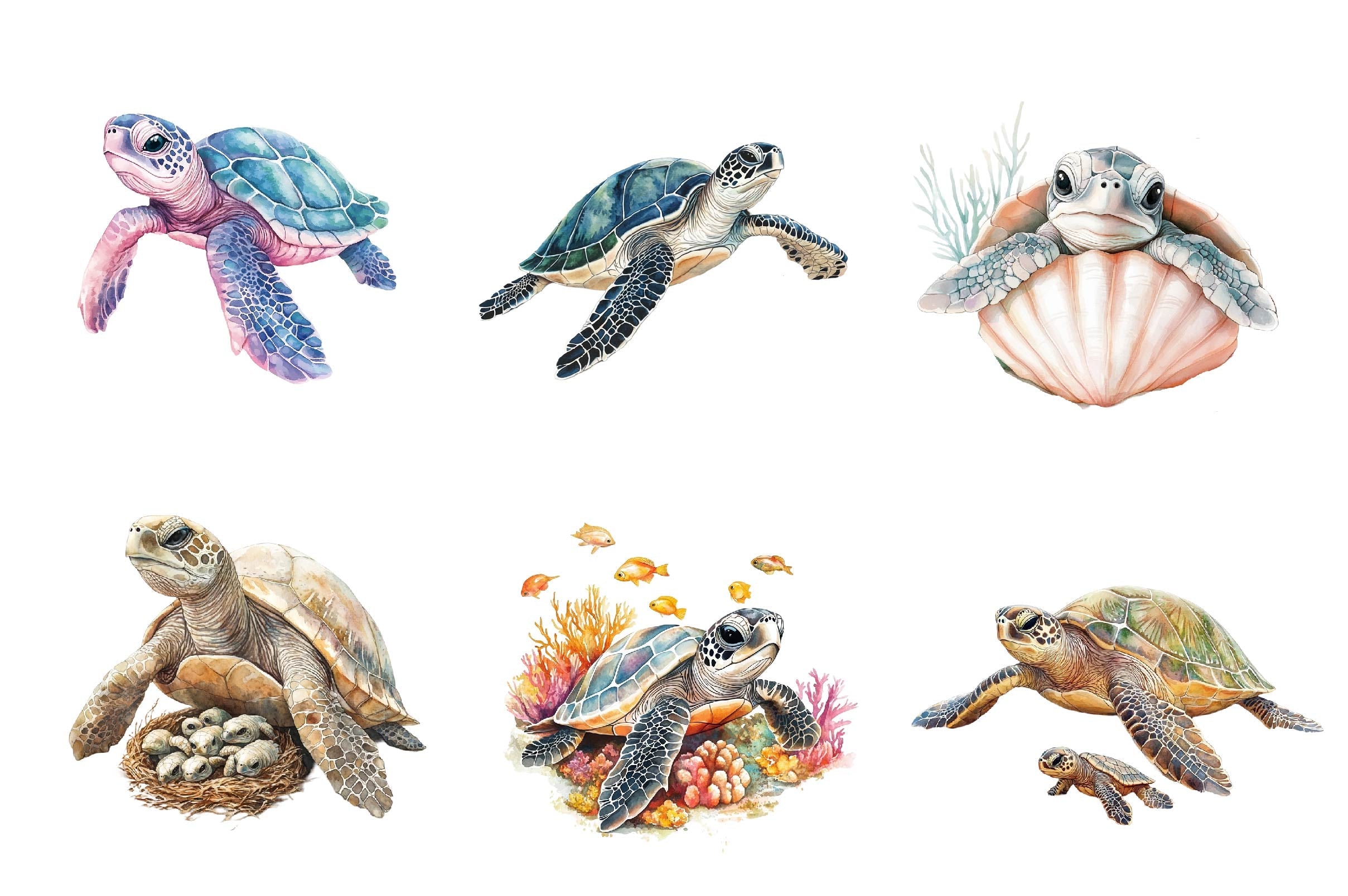 Sea Turtle & Baby Clipart Bundle
