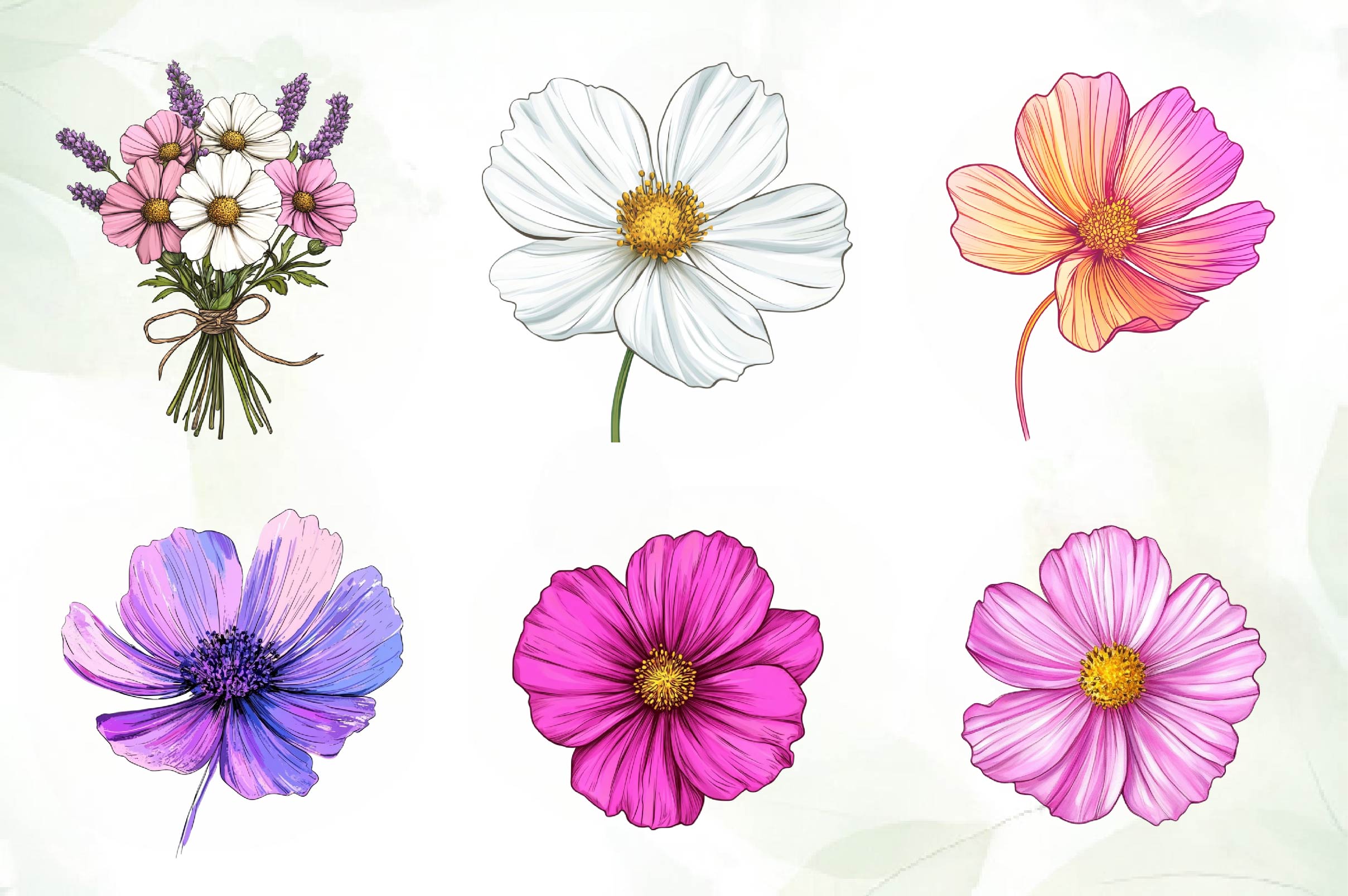 Cosmos Flower Bloom Clipart Bundle