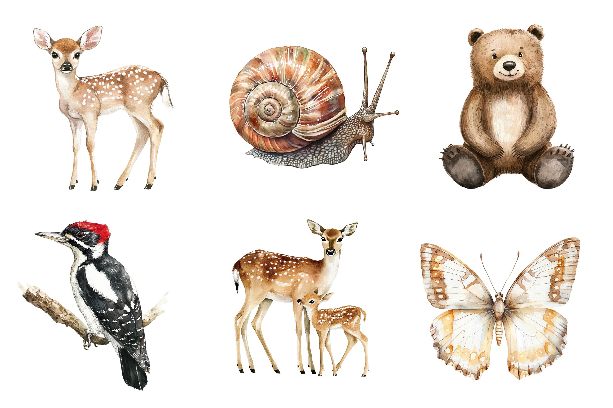 Woodland Forest Animals Clipart Bundle 2