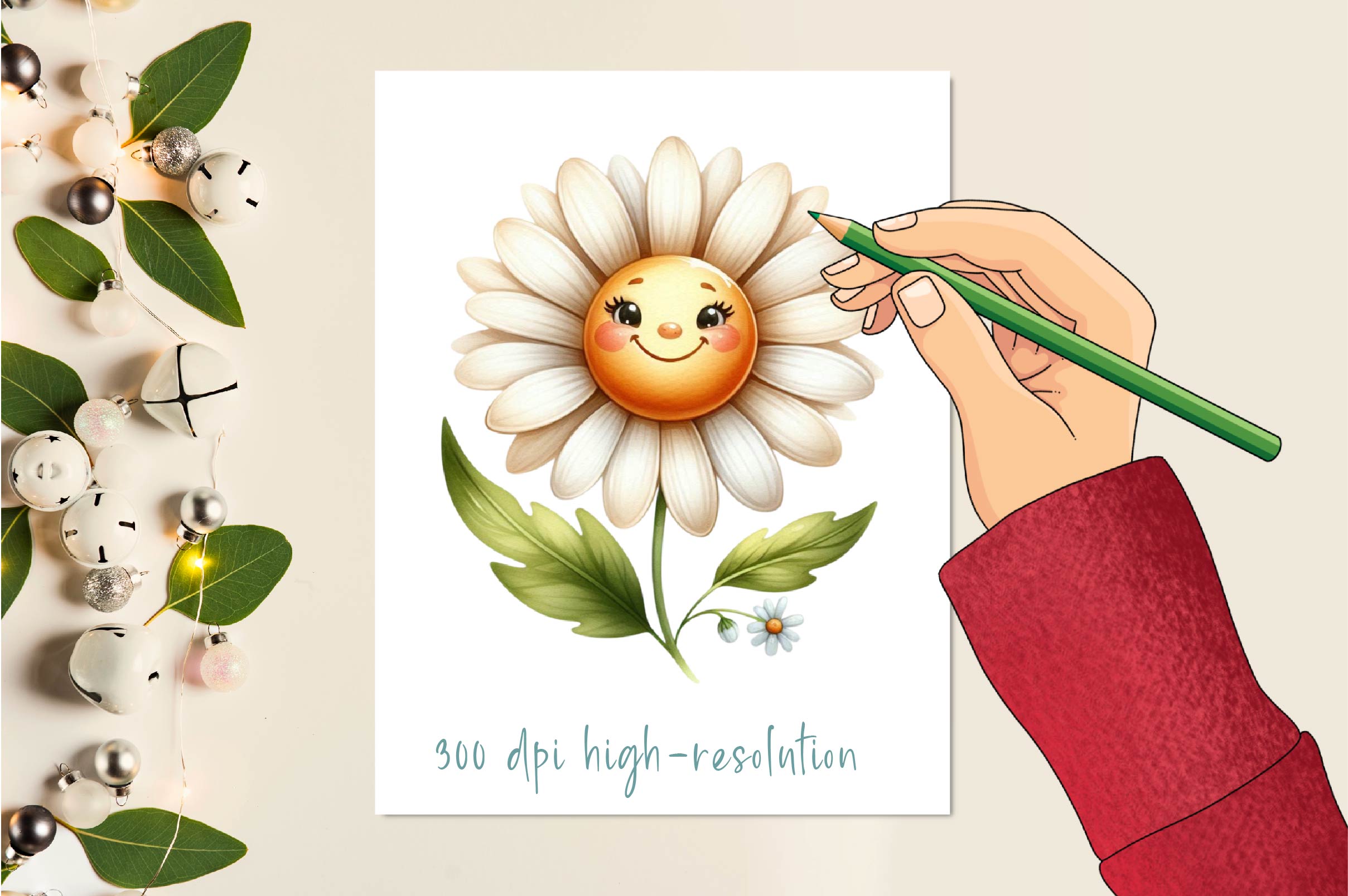 Cute Daisy Flower Clipart Bundle