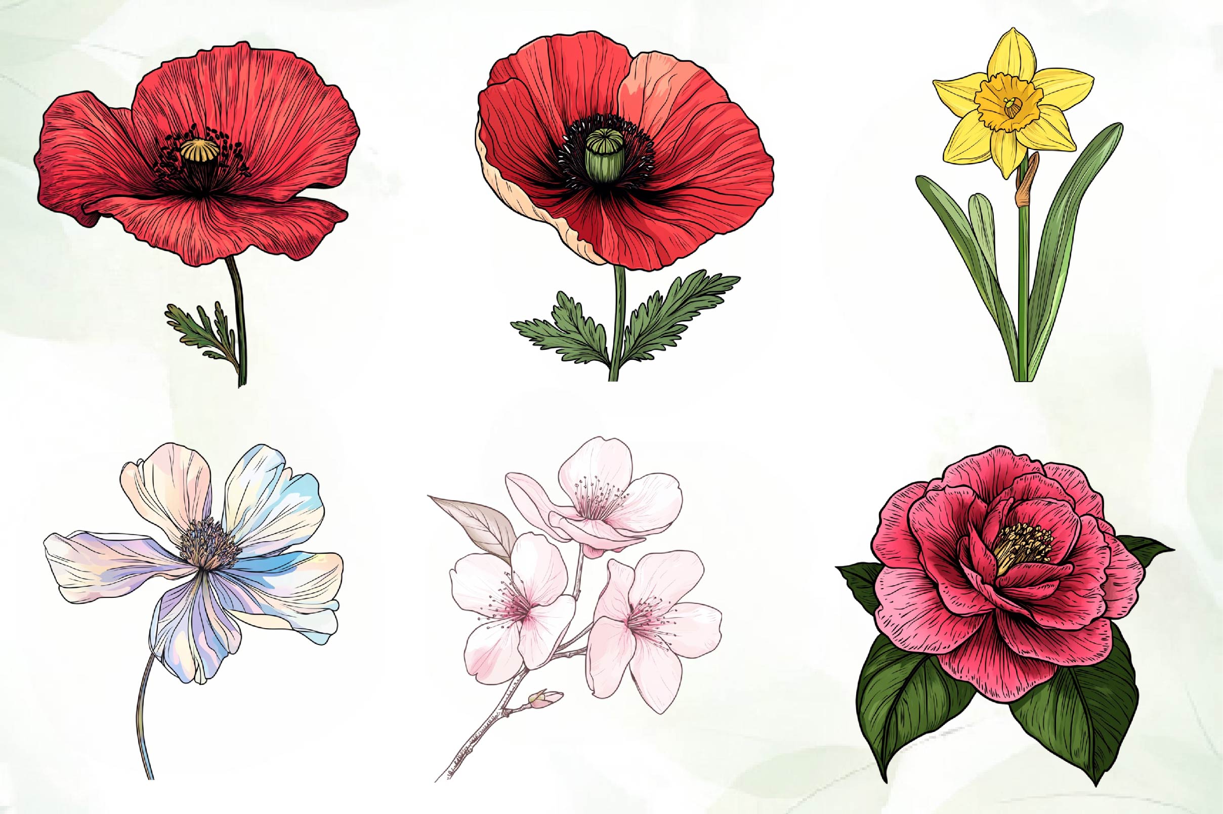 Vintage Single Flowers Clipart Bundle