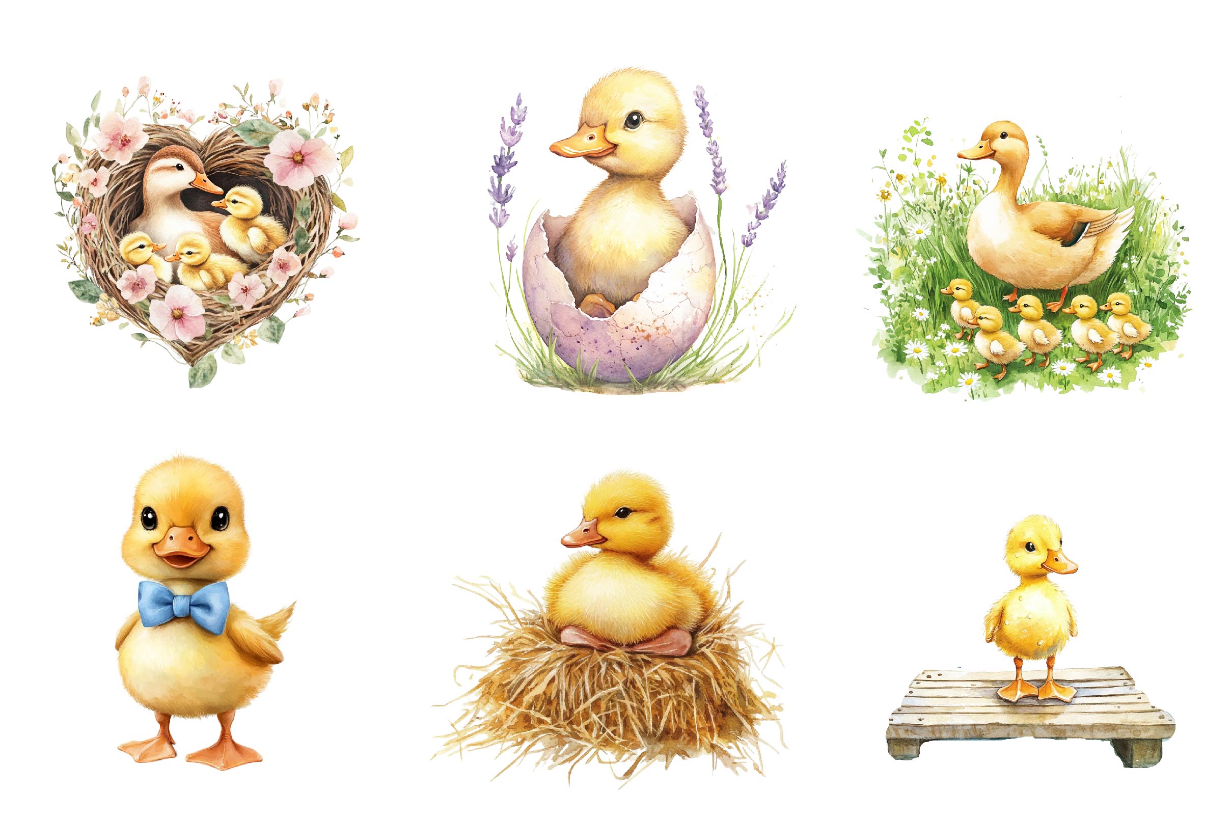 Duck & Duckling Clipart Bundle