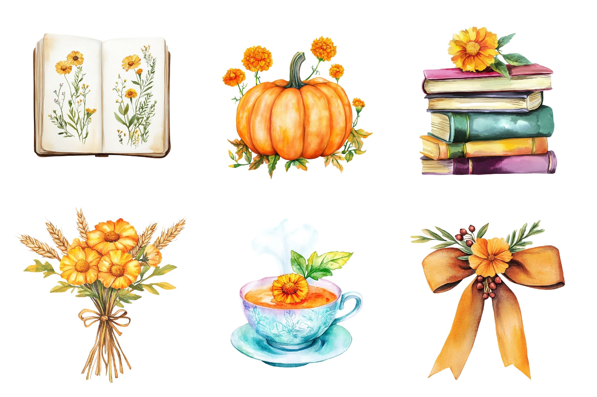 Fall Marigold Clipart Bundle