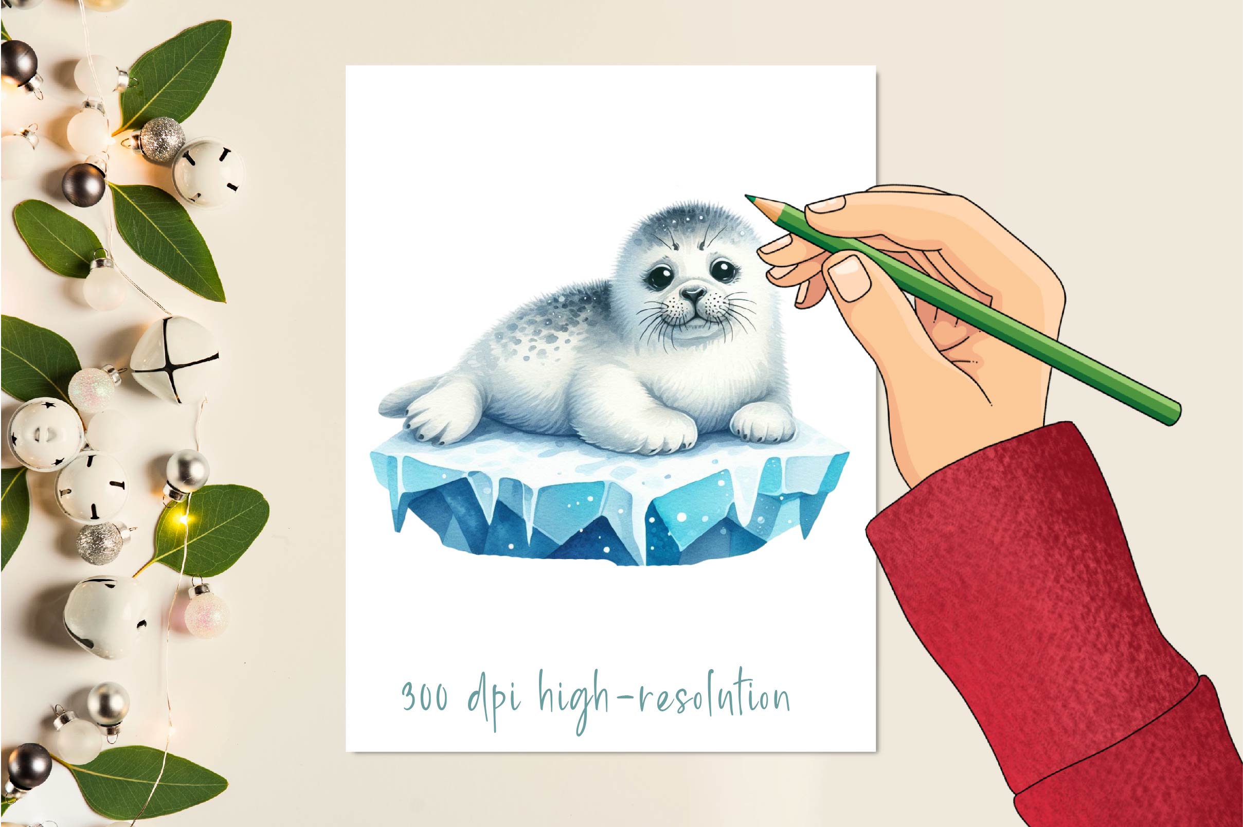 Ice Harp Seal Clipart Bundle