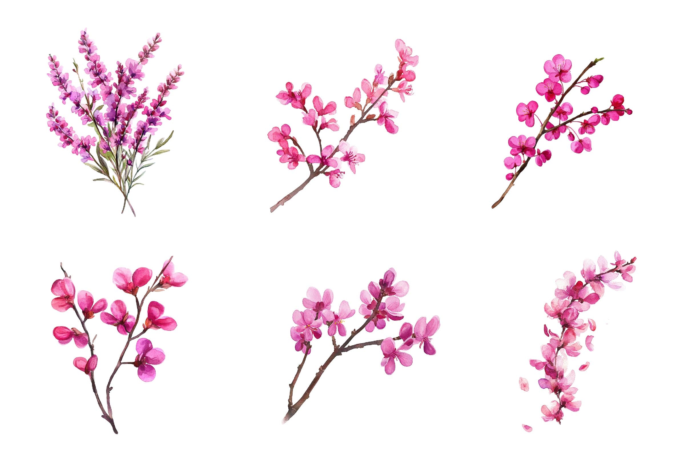 Spring Redbud Flower Clipart Bundle