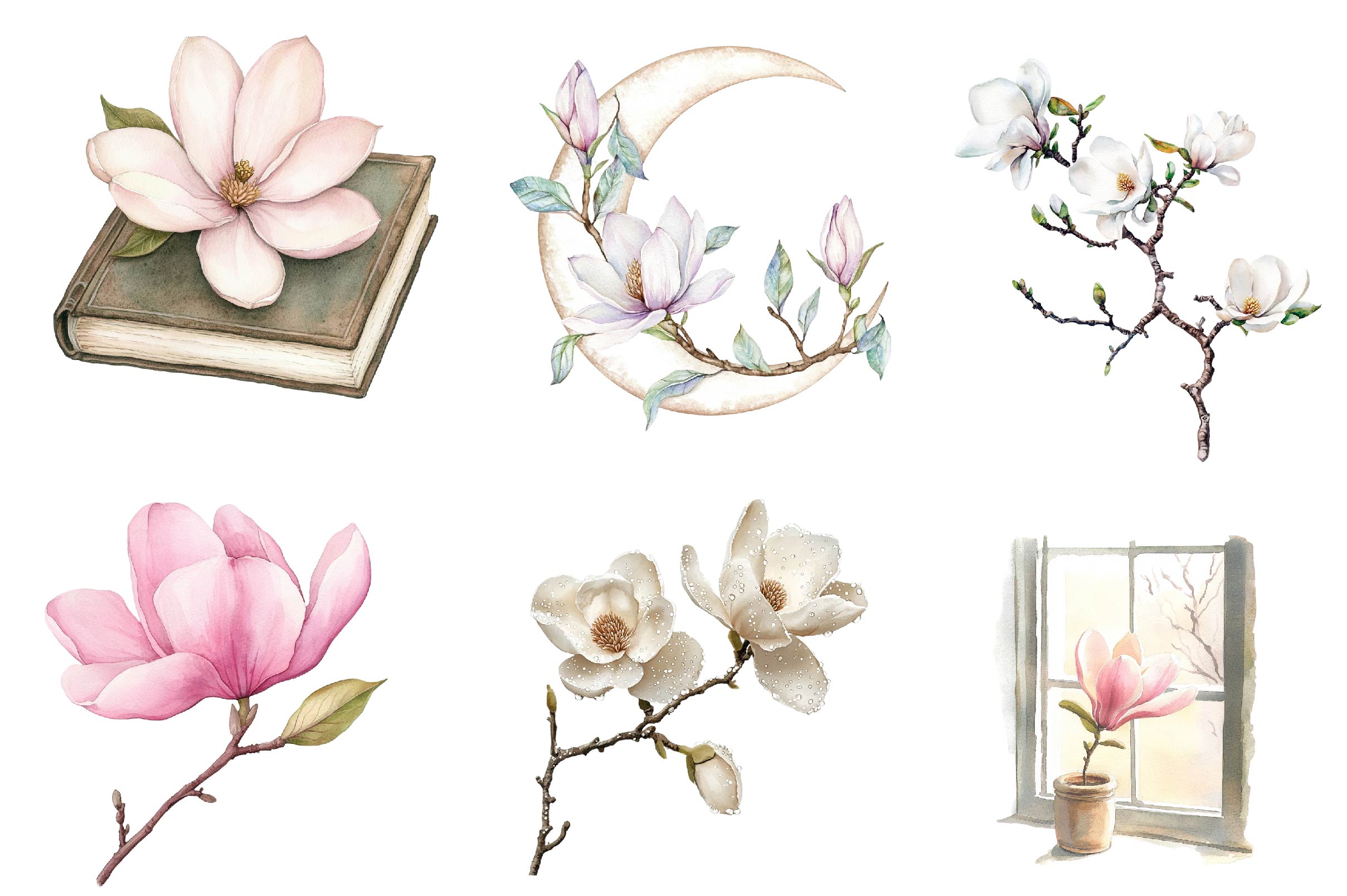 Magnolias Spring Flowers Clipart Bundle