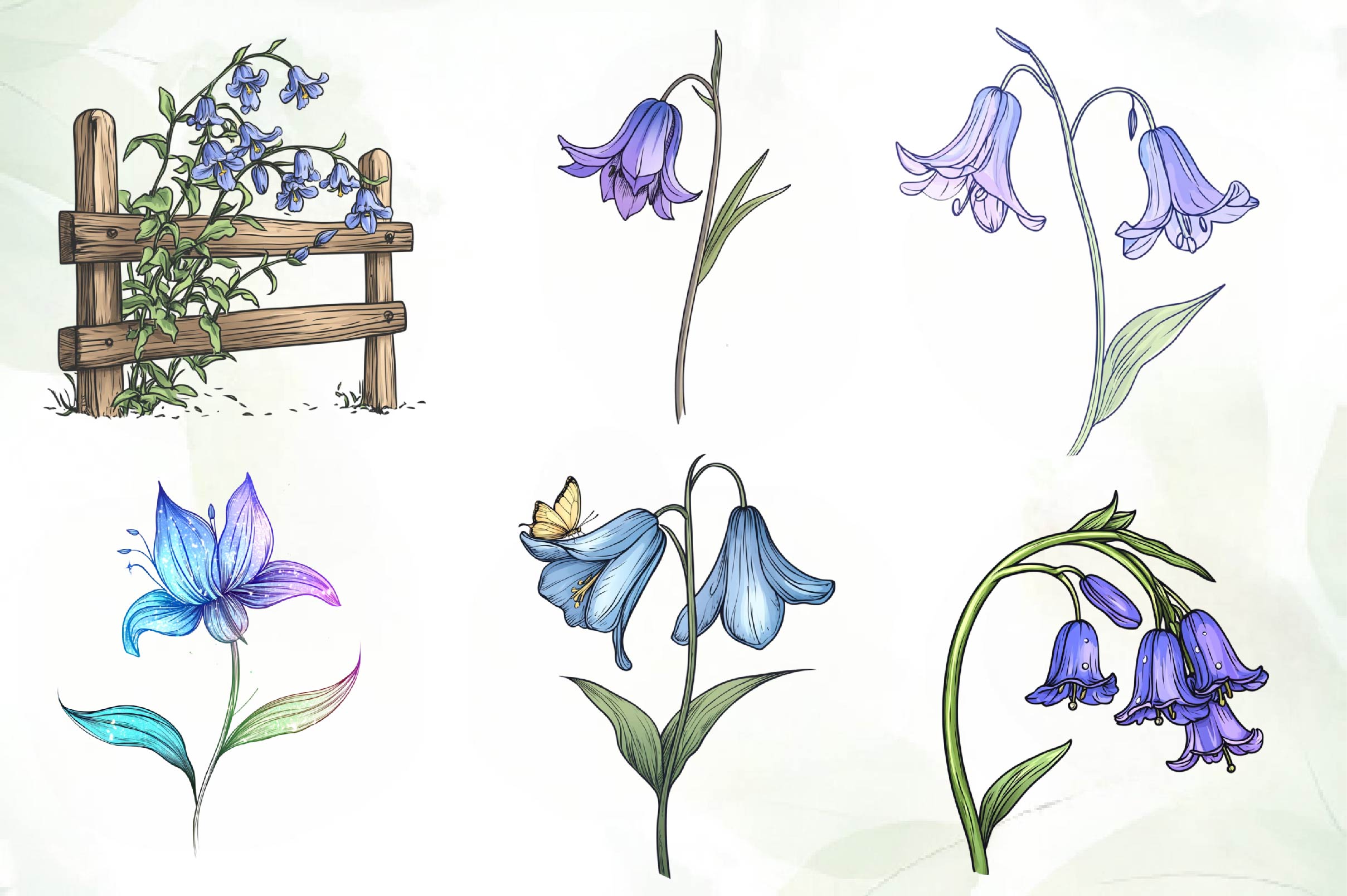 Little Bluebell Flower Bloom Clipart Bundle