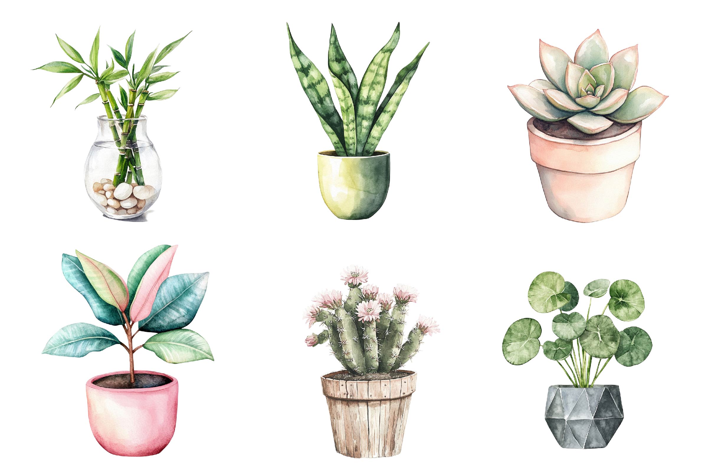 Houseplant Clipart Bundle