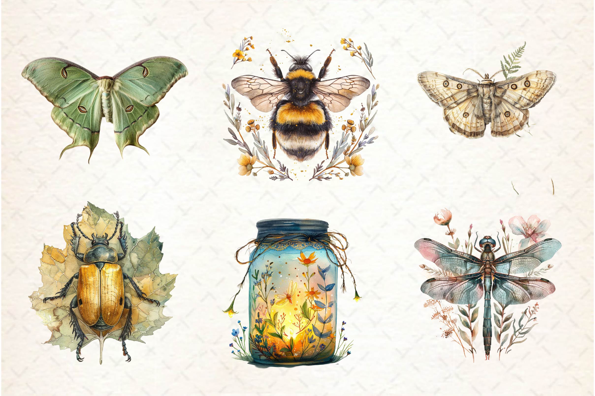 Vintage Spring Insect Clipart Bundle