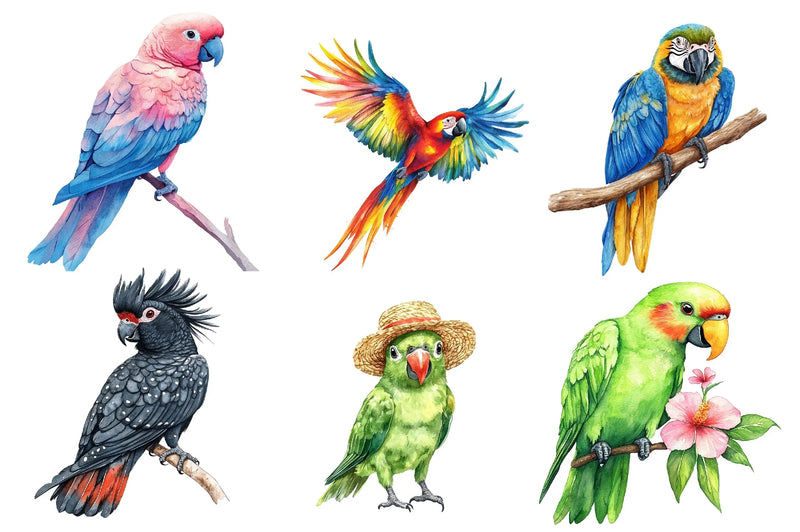 Tropical Parrots Clipart Bundle - CraftNest - Digital Crafting and Art