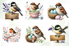 Spring Birds Clipart Bundle - CraftNest - Digital Crafting and Art
