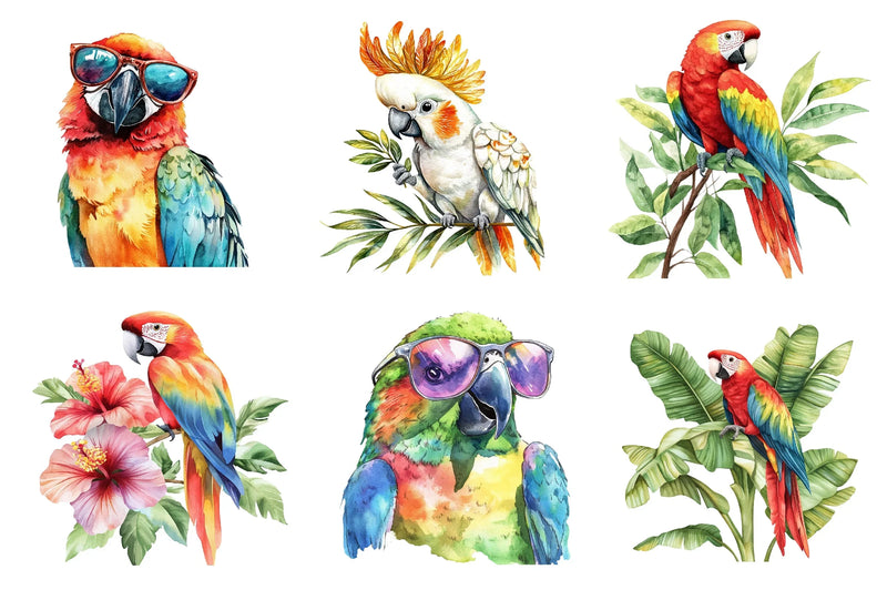 Tropical Parrots Clipart Bundle - CraftNest - Digital Crafting and Art