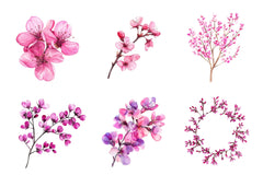 Spring Redbud Flower Clipart Bundle - CraftNest - Digital Crafting and Art