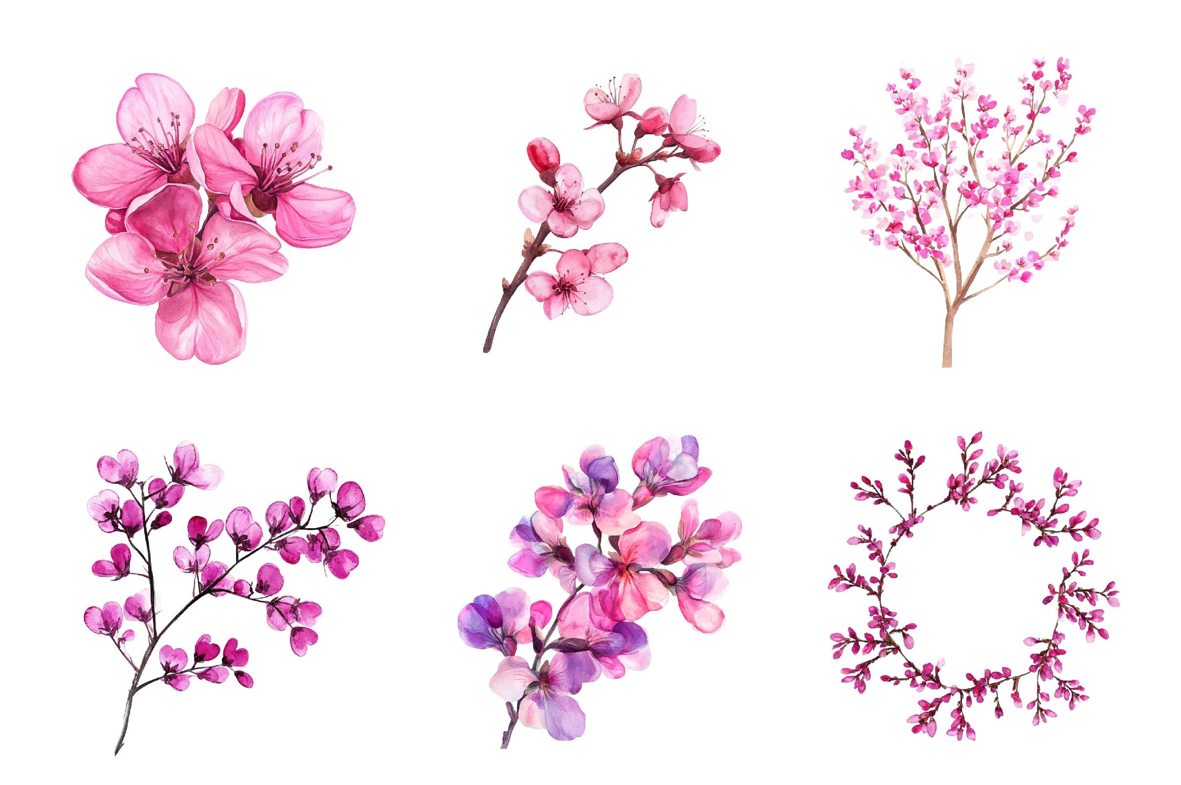 Spring Redbud Flower Clipart Bundle - CraftNest - Digital Crafting and Art