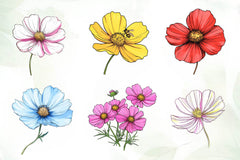 Cosmos Flower Bloom Clipart Bundle - CraftNest - Digital Crafting and Art