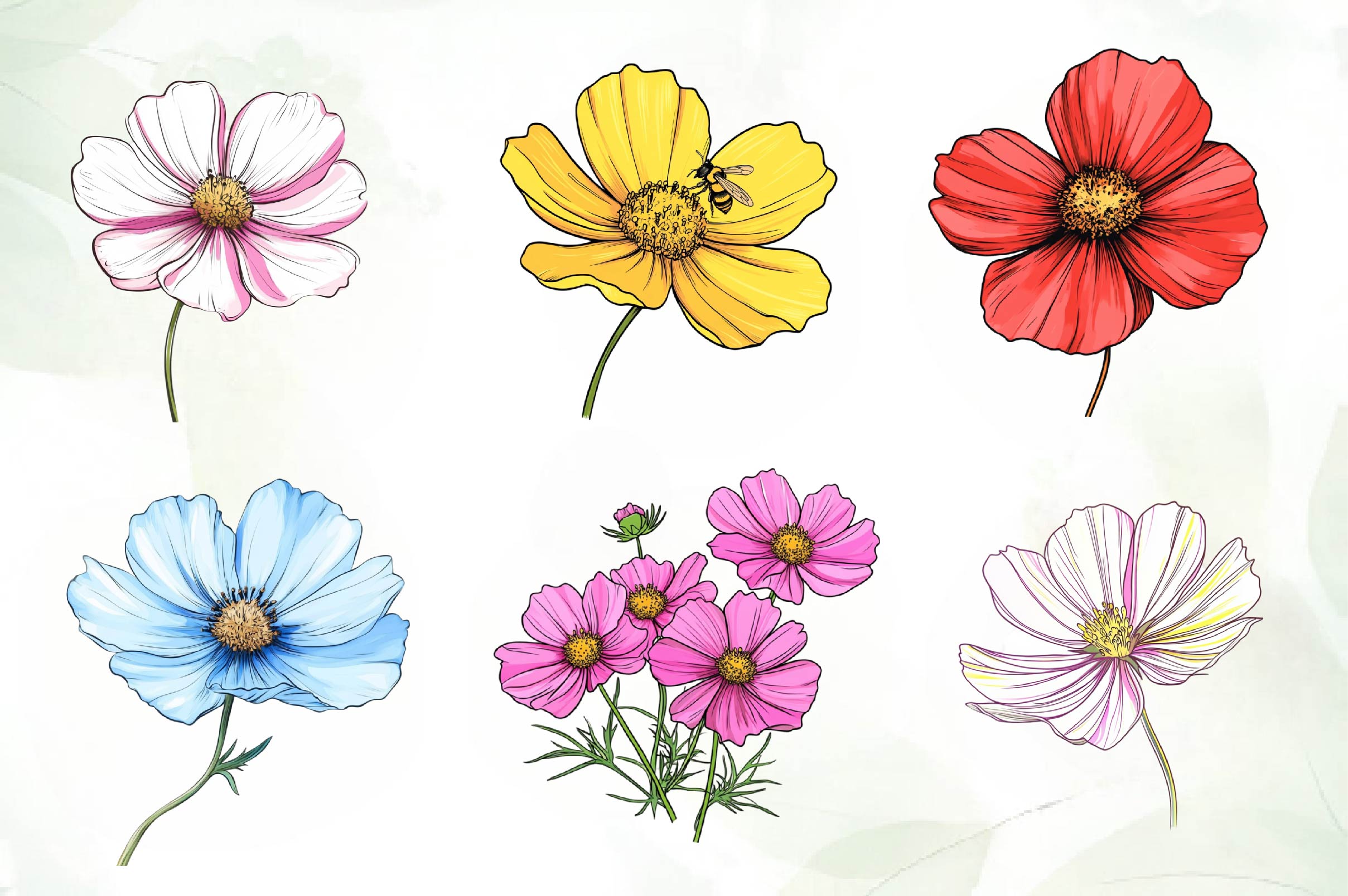 Cosmos Flower Bloom Clipart Bundle - CraftNest - Digital Crafting and Art