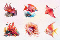 Red Ocean Animals Clipart Bundle - CraftNest - Digital Crafting and Art