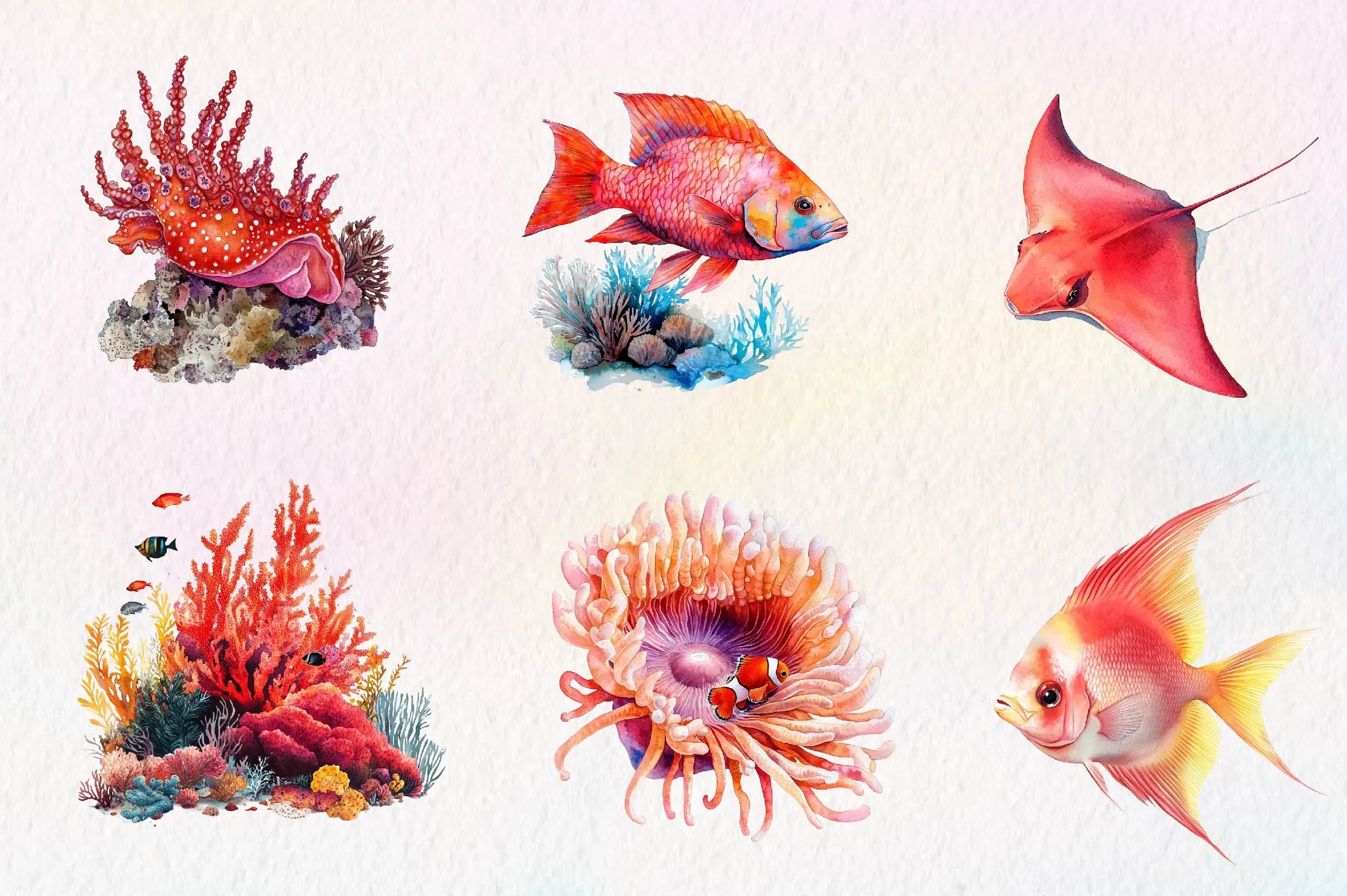 Red Ocean Animals Clipart Bundle - CraftNest - Digital Crafting and Art