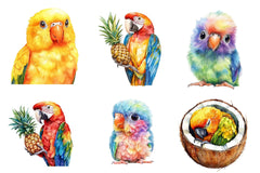 Tropical Parrots Clipart Bundle - CraftNest - Digital Crafting and Art