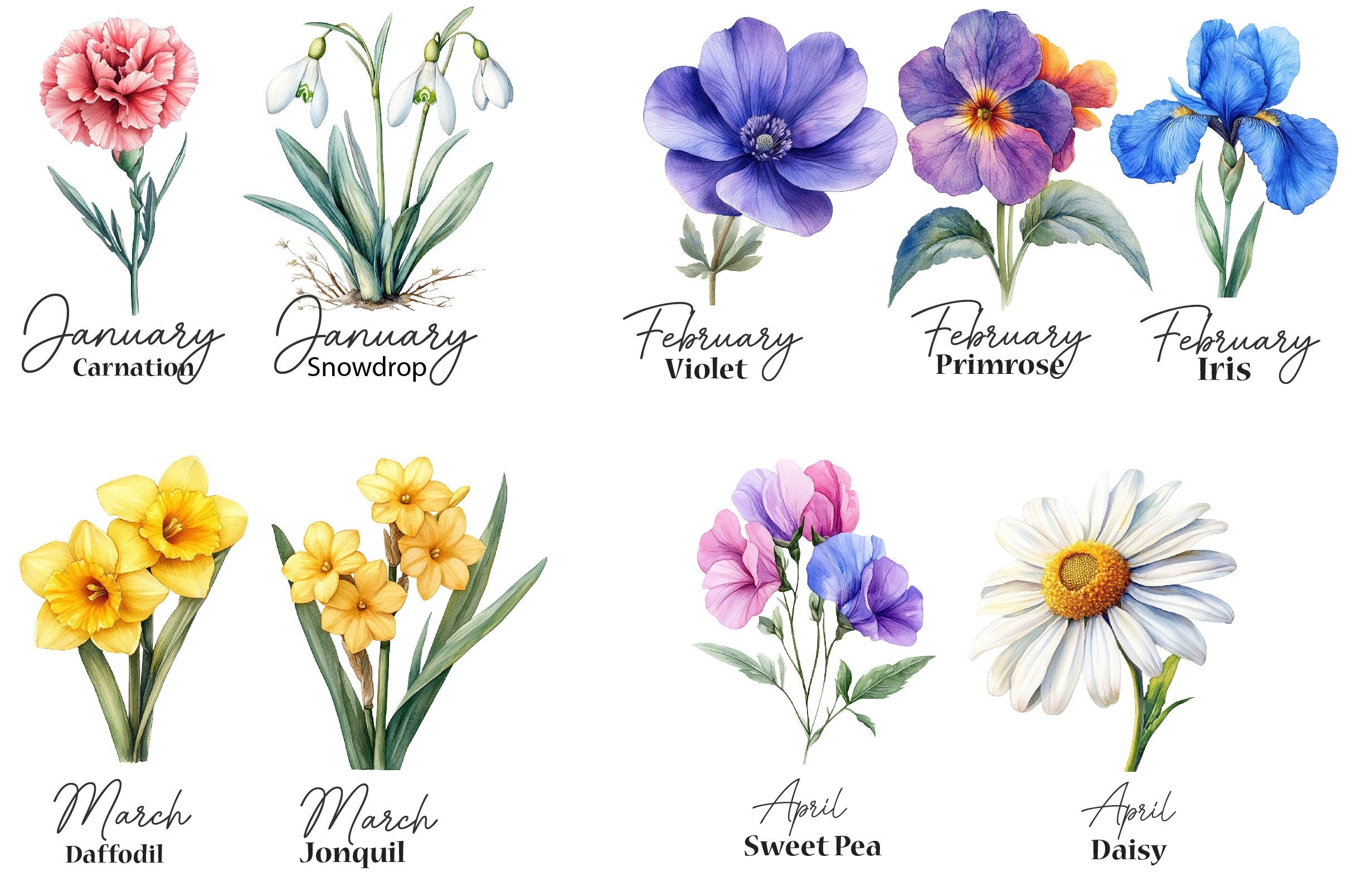 26 Birth Month Flowers Clipart Bundle