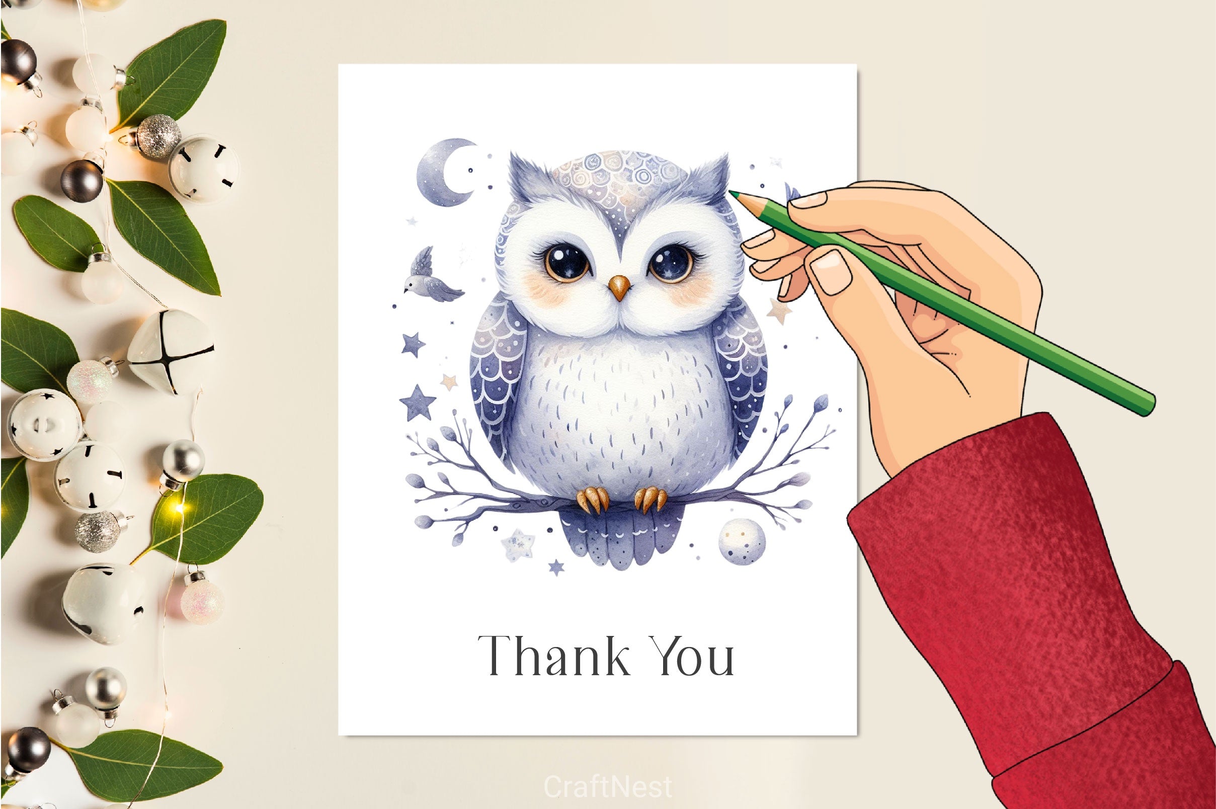 Night Cute Owl Clipart Bundle