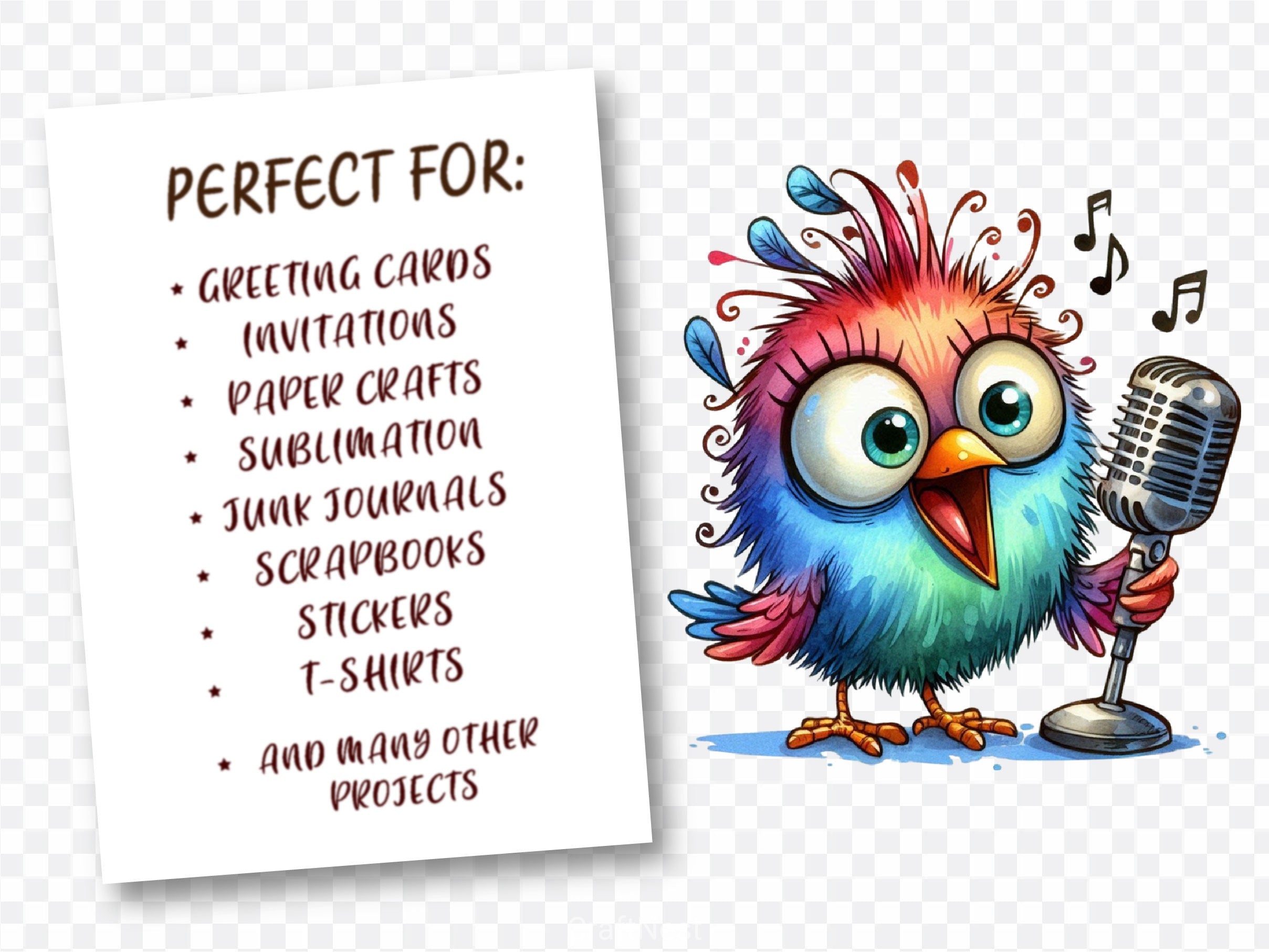 Funny Bird Clipart Bundle 9