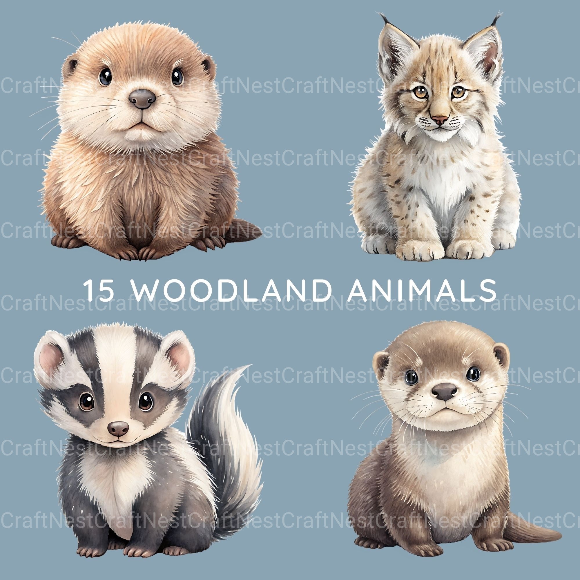 Woodland Animals 1 Clipart Bundle 2