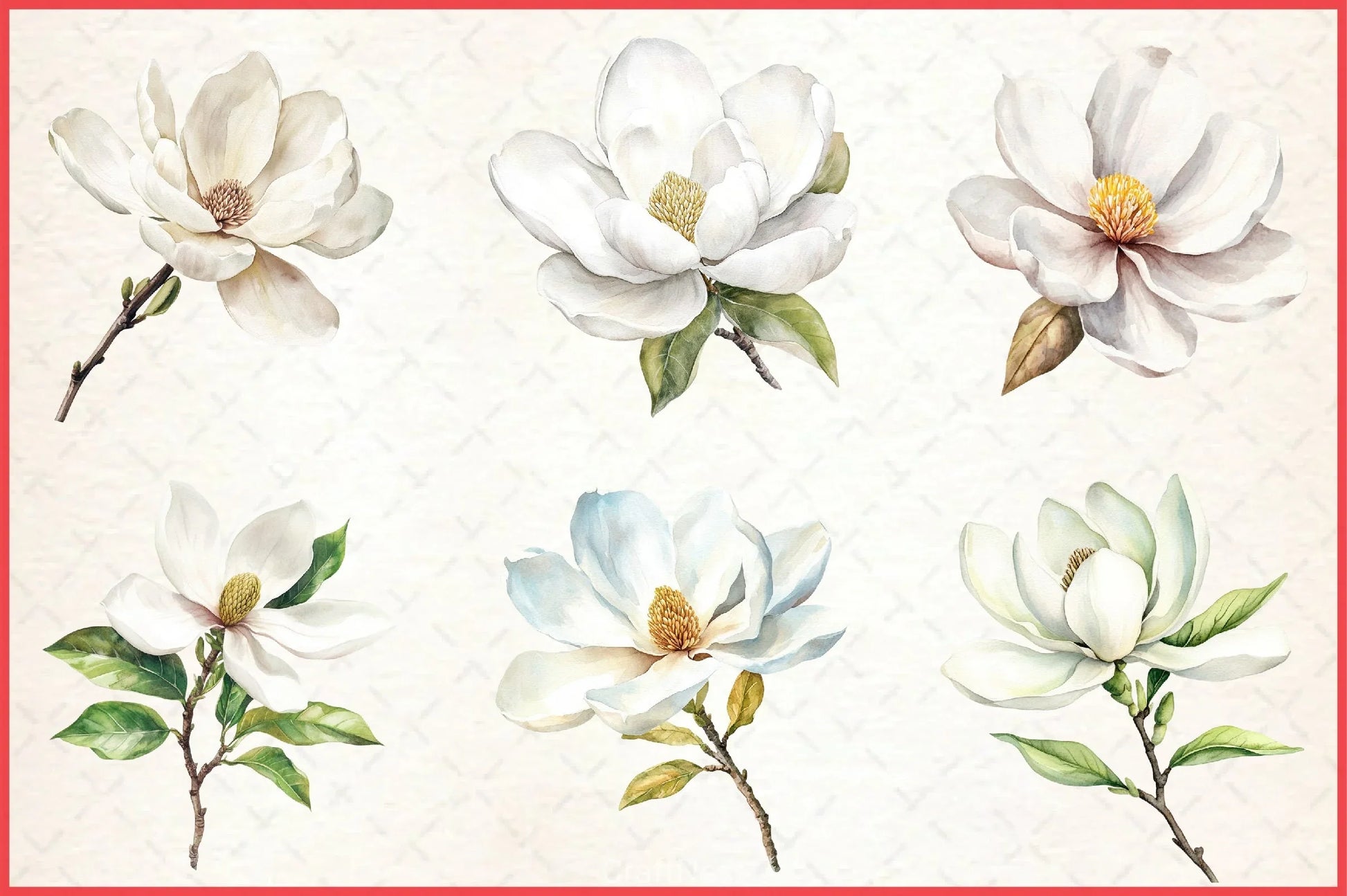 White Magnolia Clipart Bundle - CraftNest - Digital Crafting and Art