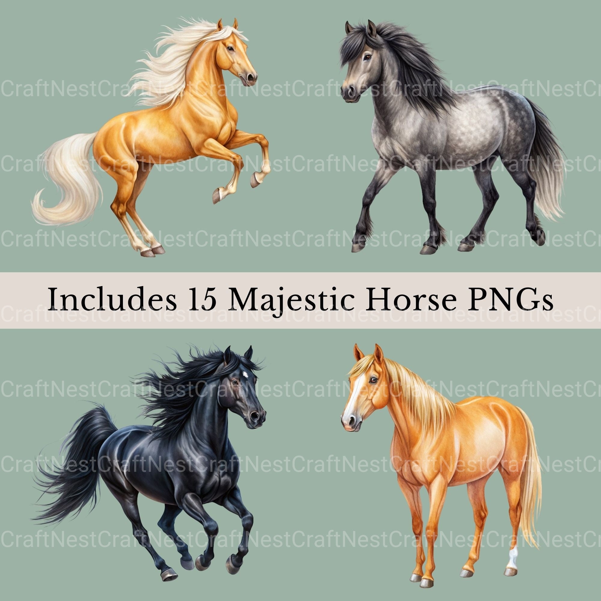 Horses Clipart Bundle 3