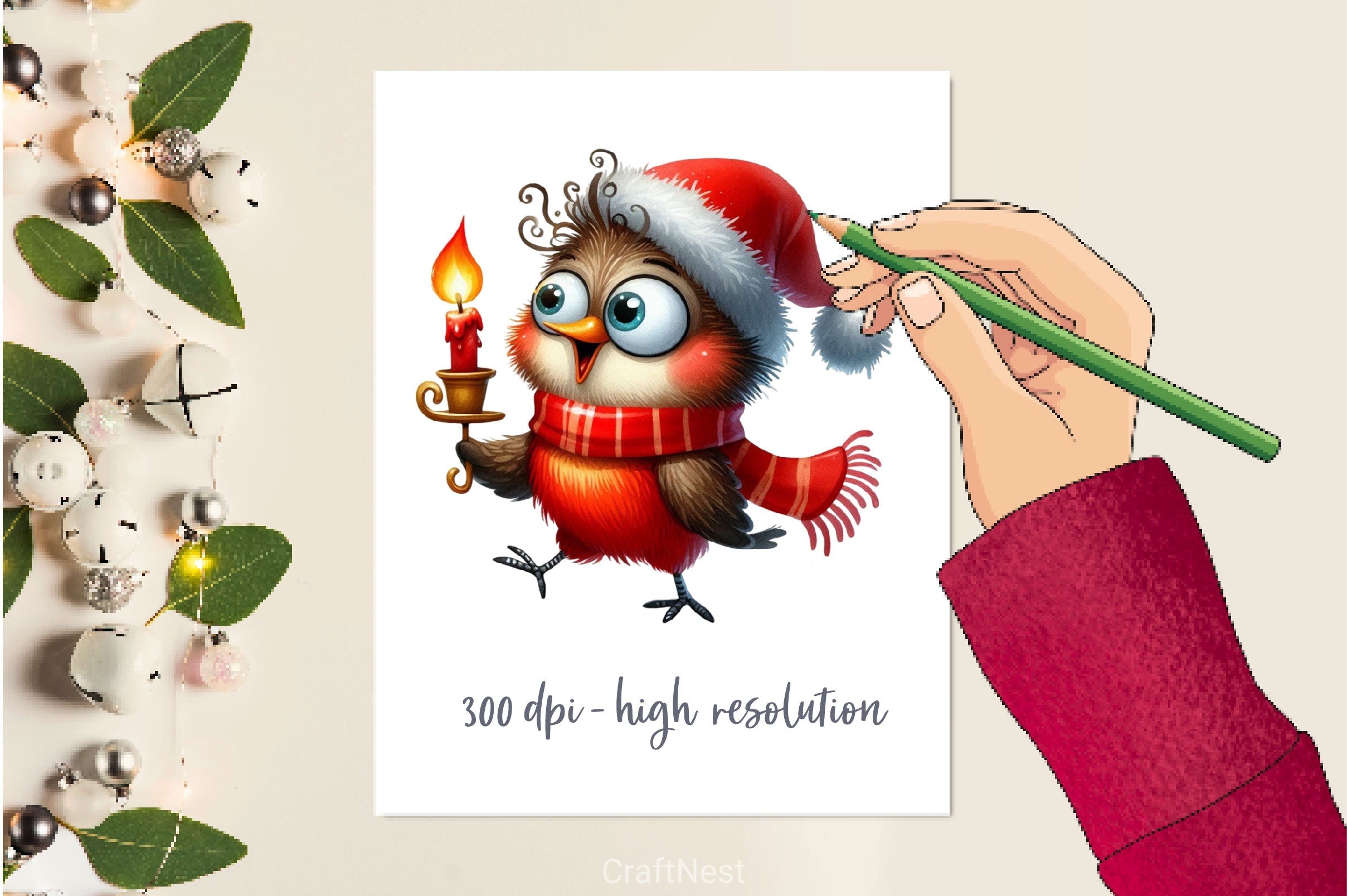 Christmas Birds Funny Birds Clipart Bundle
