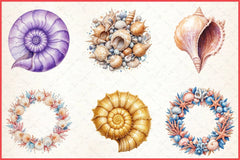 Summer Seashell Clipart Bundle 3 - CraftNest - Digital Crafting and Art