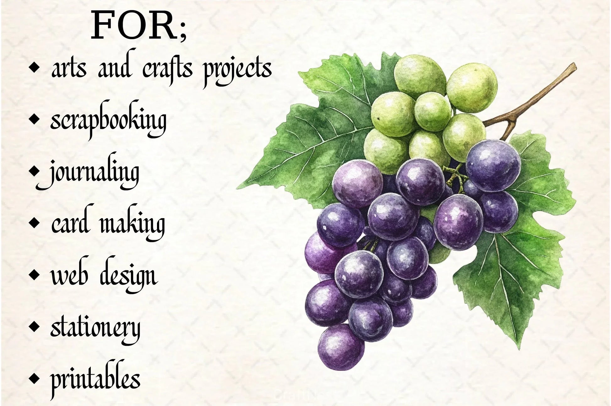 Grape Clipart Bundle - CraftNest - Digital Crafting and Art