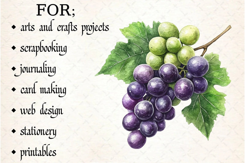 Grape Clipart Bundle - CraftNest - Digital Crafting and Art
