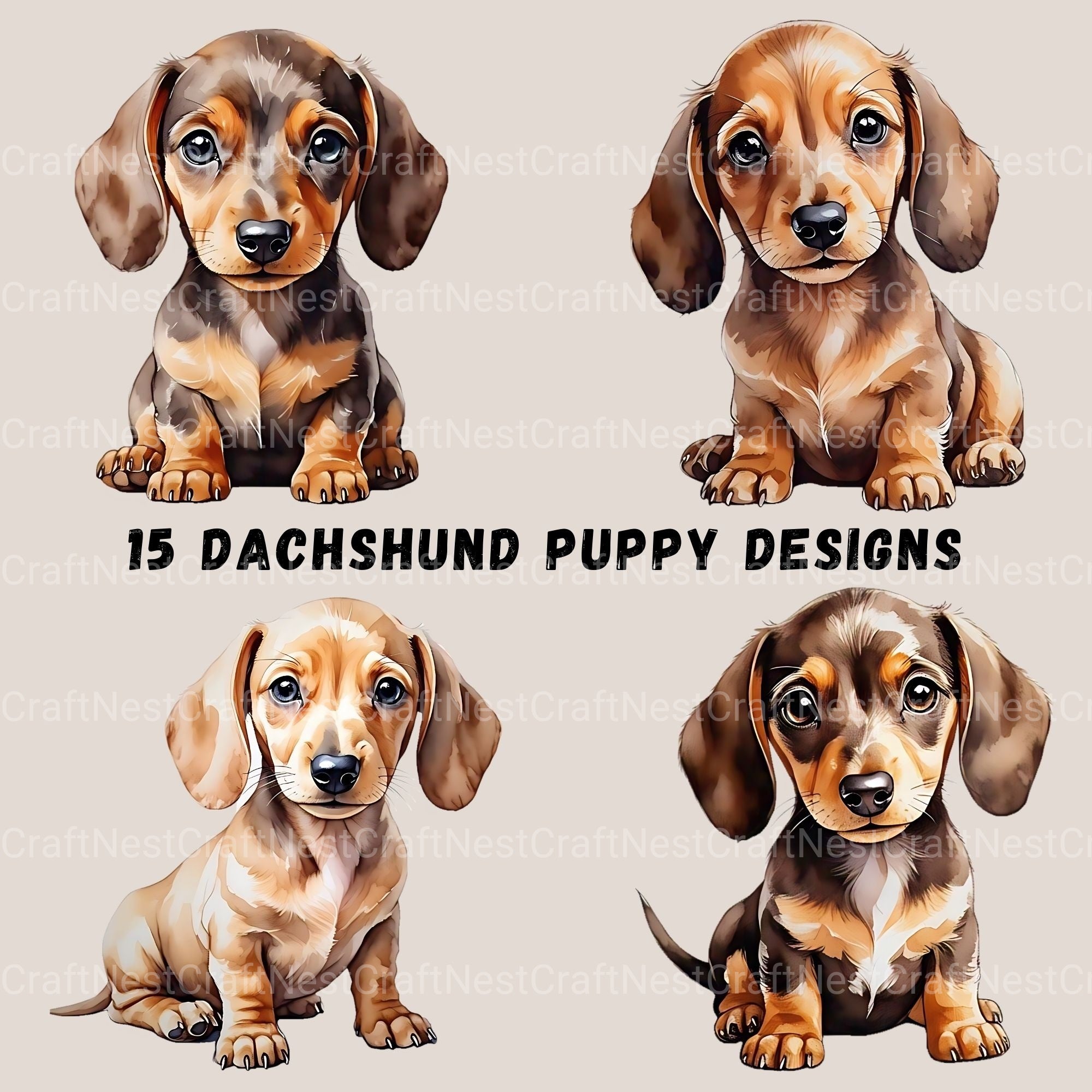 Dachshund Puppies Clipart Bundle 1