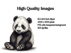 Baby Pandas Clipart - CraftNest