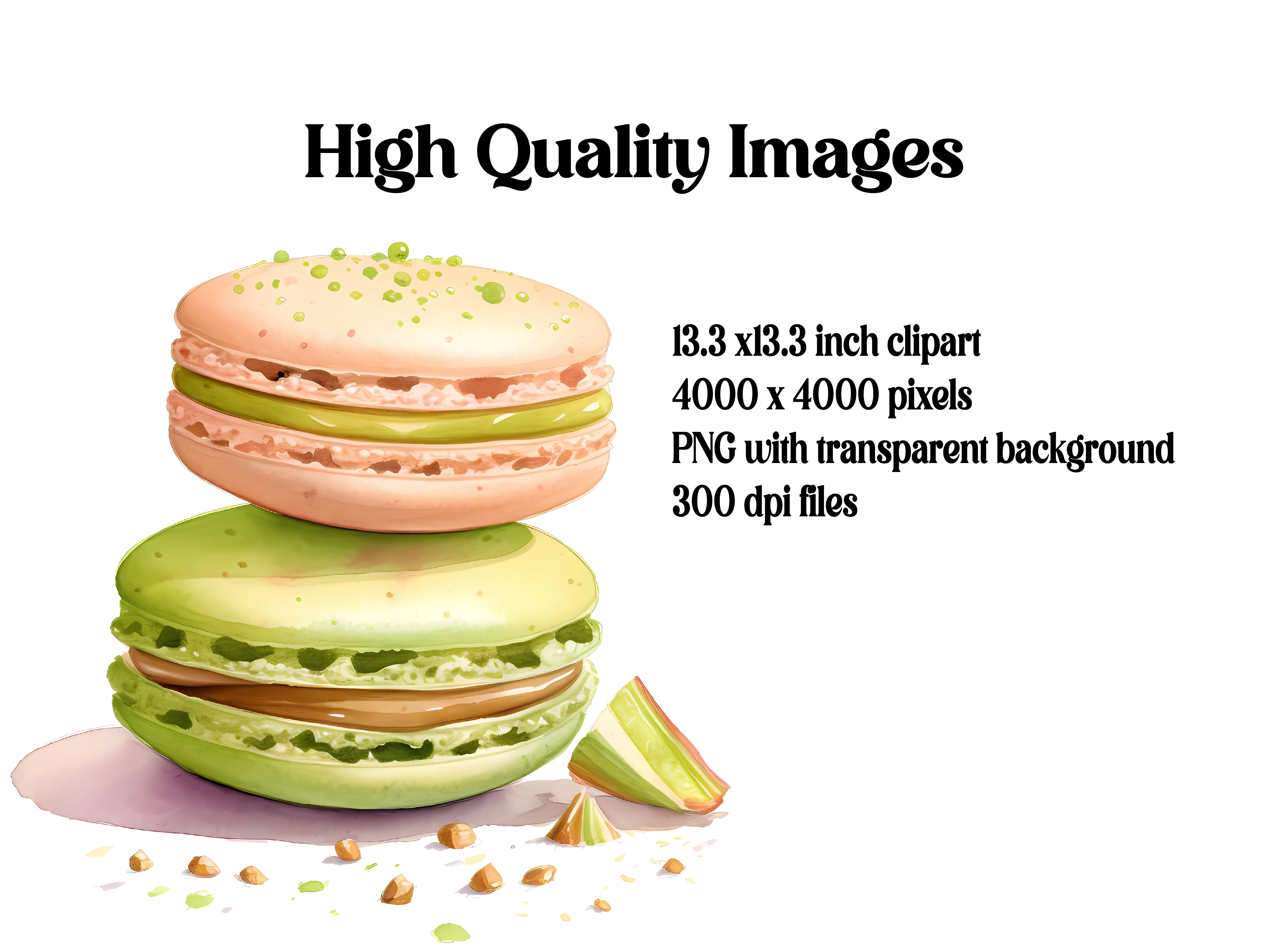 Pistachio Macarons Clipart - CraftNest