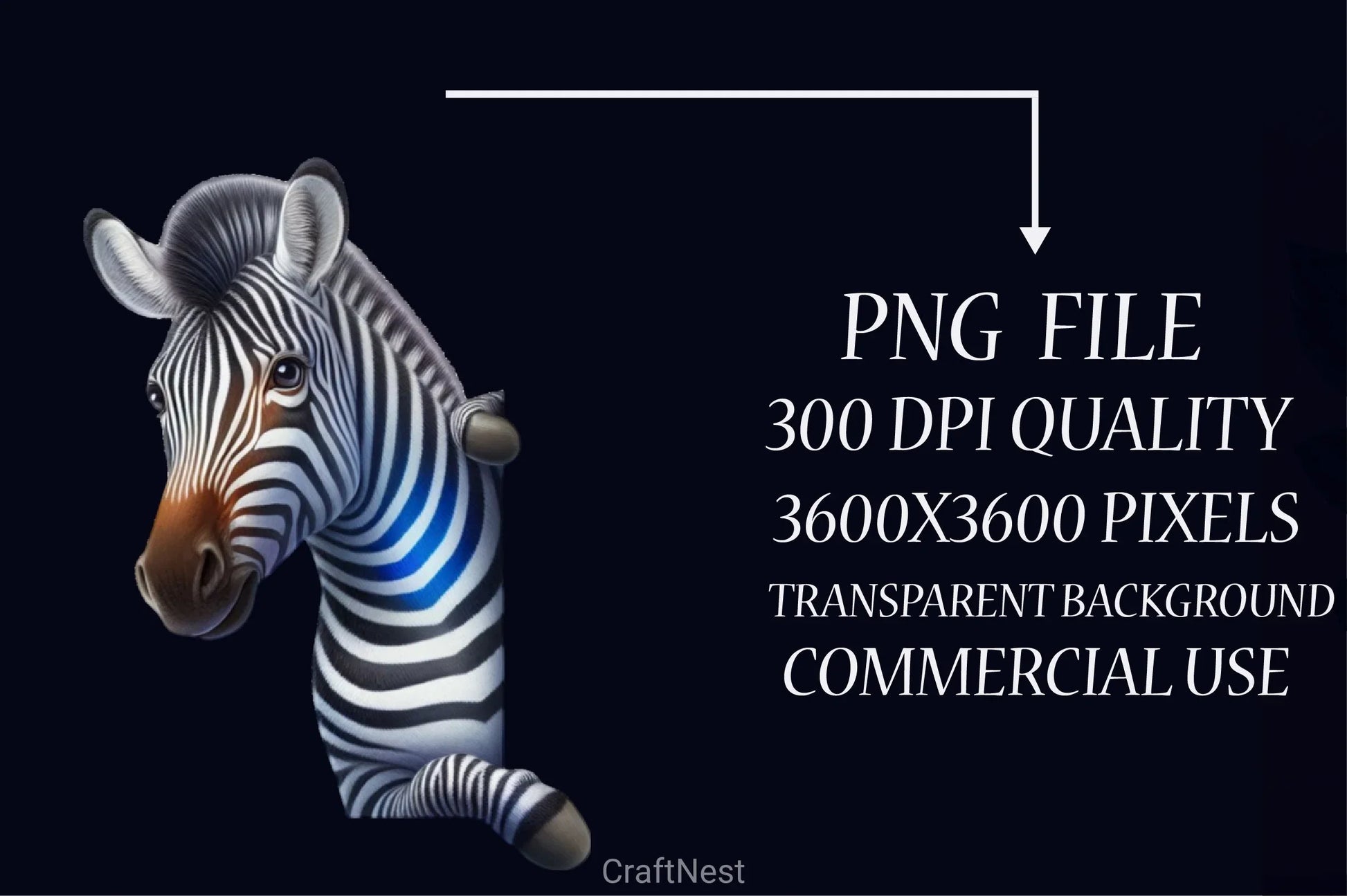 Zebra Peeking Clipart Bundle - CraftNest - Digital Crafting and Art