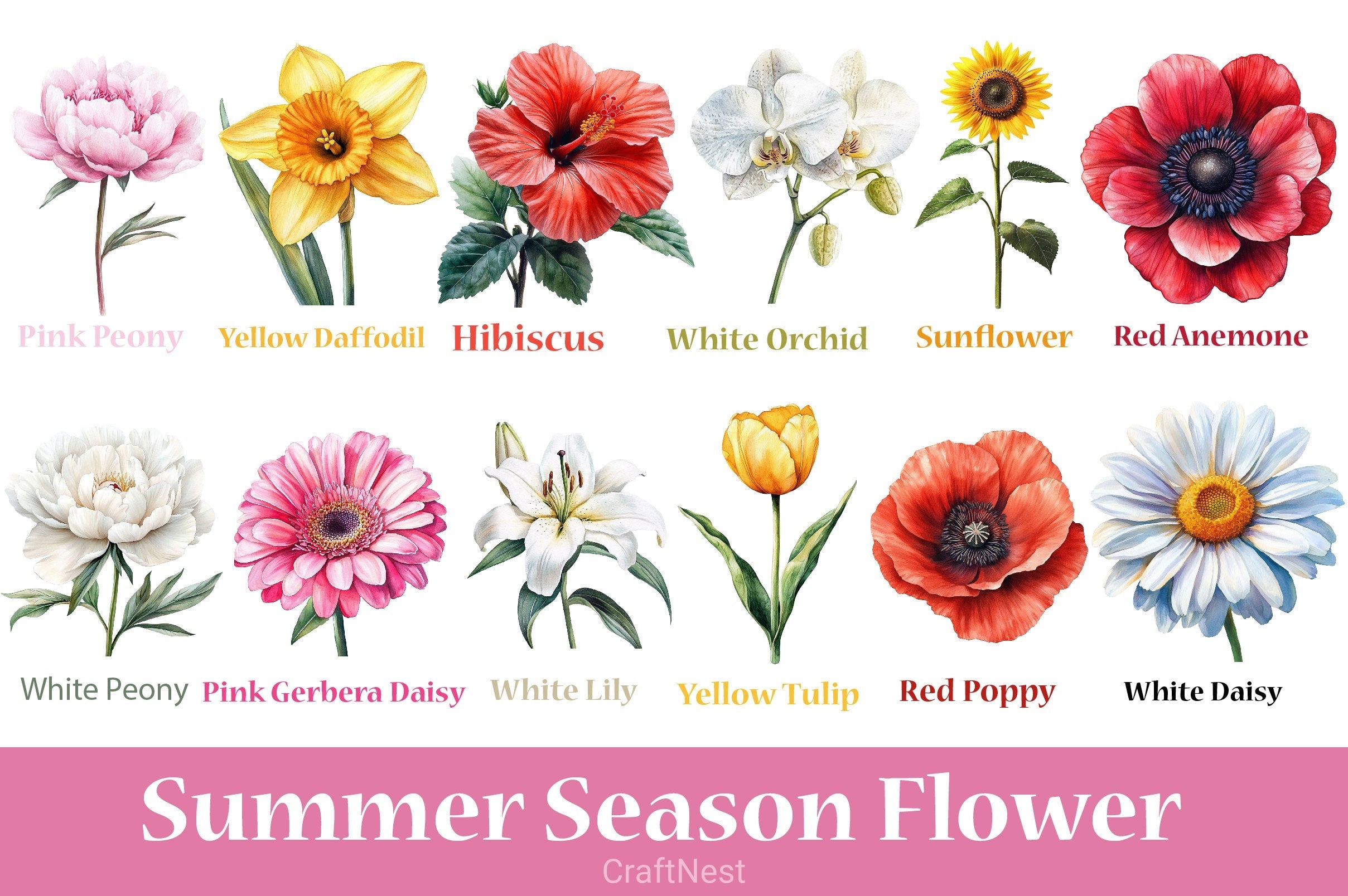 Summer Season Flower Clipart Bundle