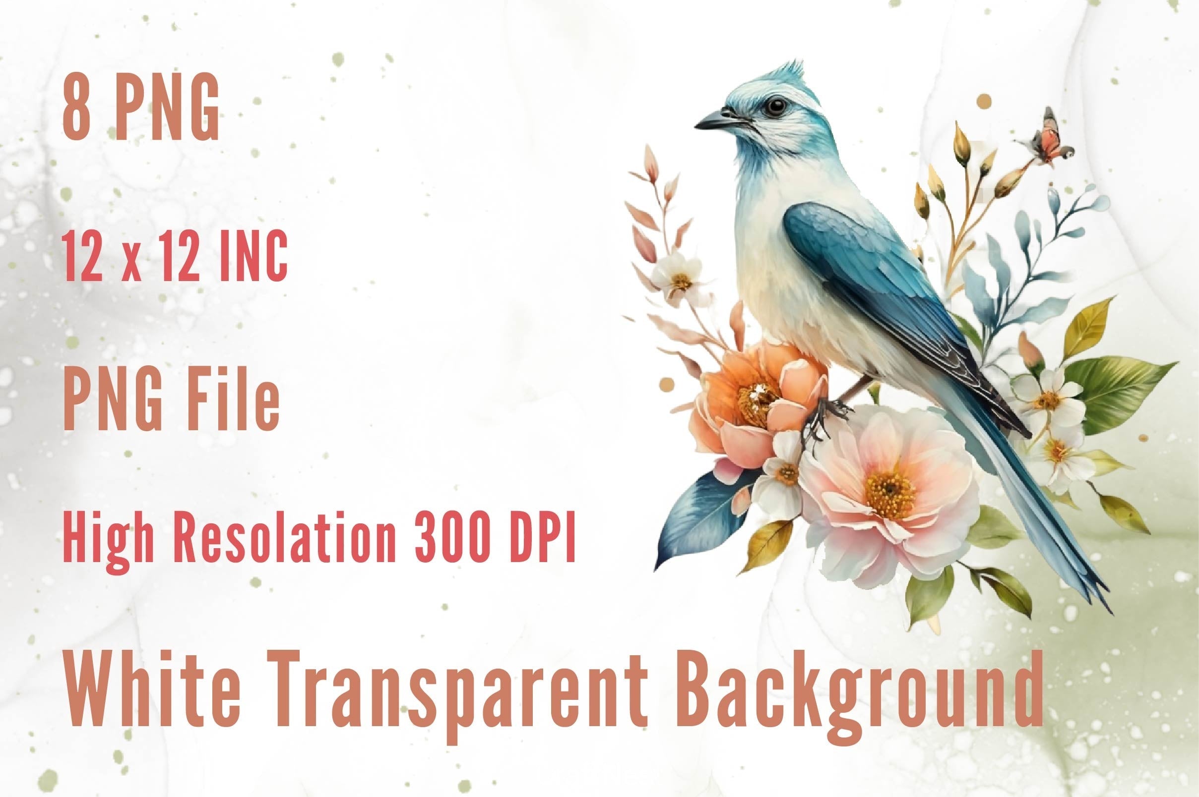 Floral Bird Clipart Bundle