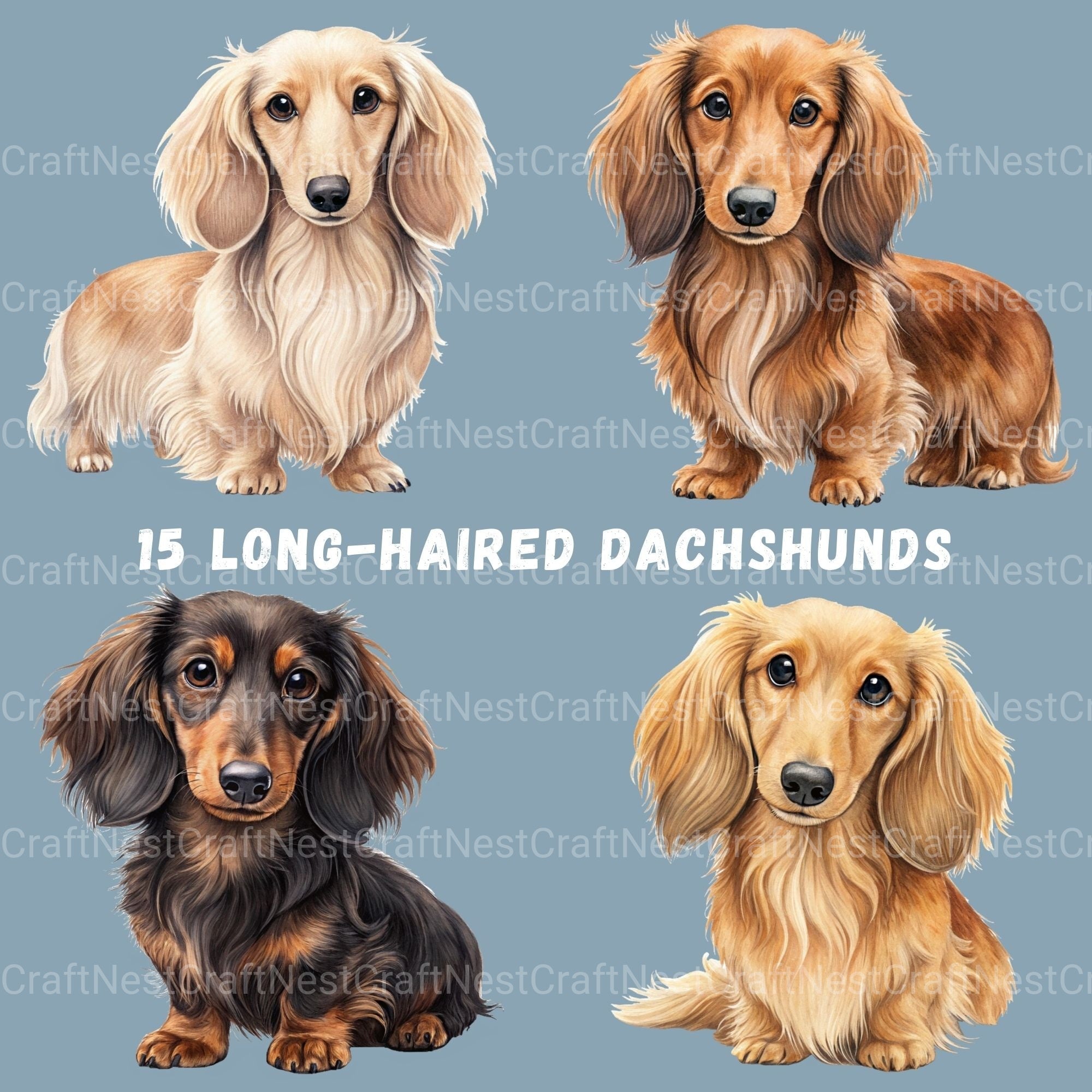 Dachshund Long Hair Clipart Bundle