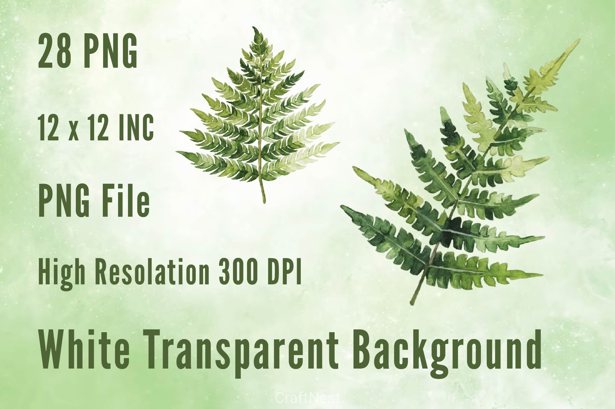 Fern Green Leaves Clipart Bundle