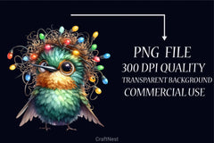 Christmas Bird Clipart Bundle 2 - CraftNest - Digital Crafting and Art